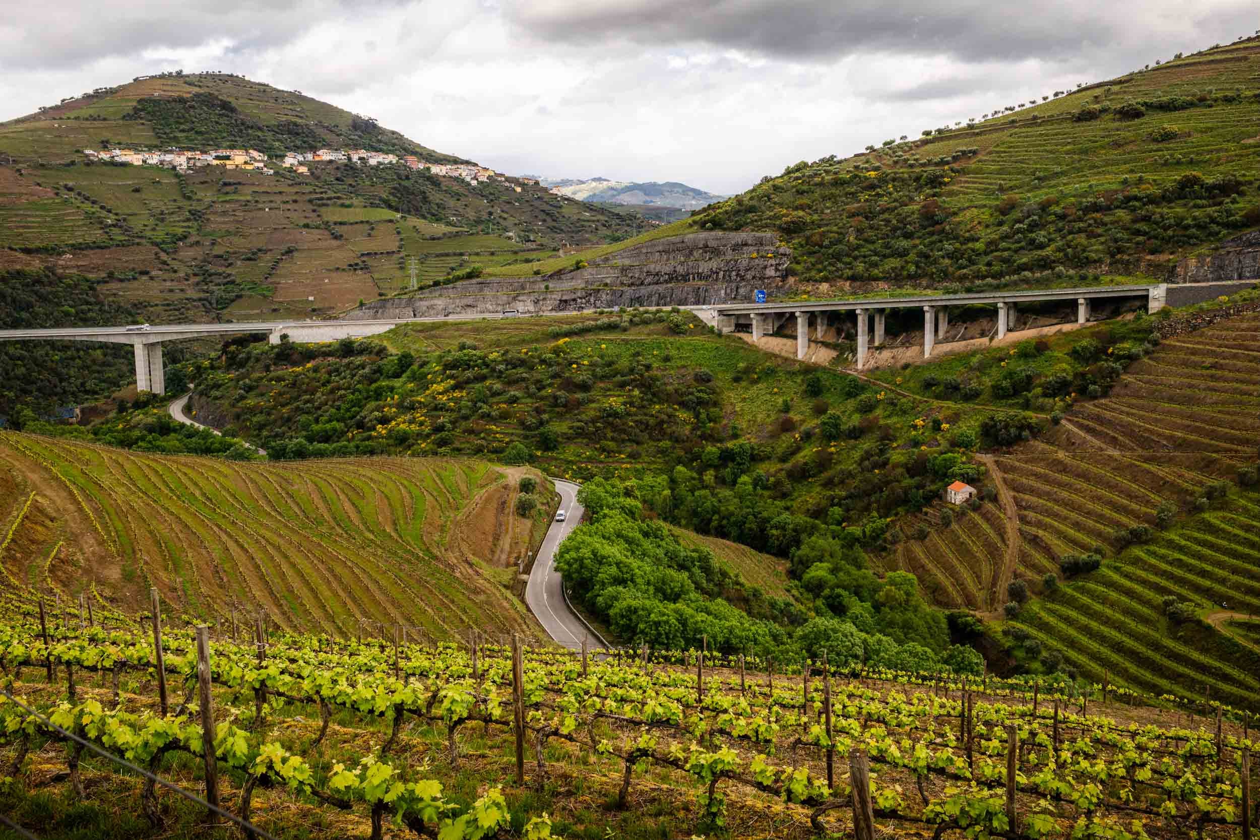 The Douro Valley (NEW).jpg
