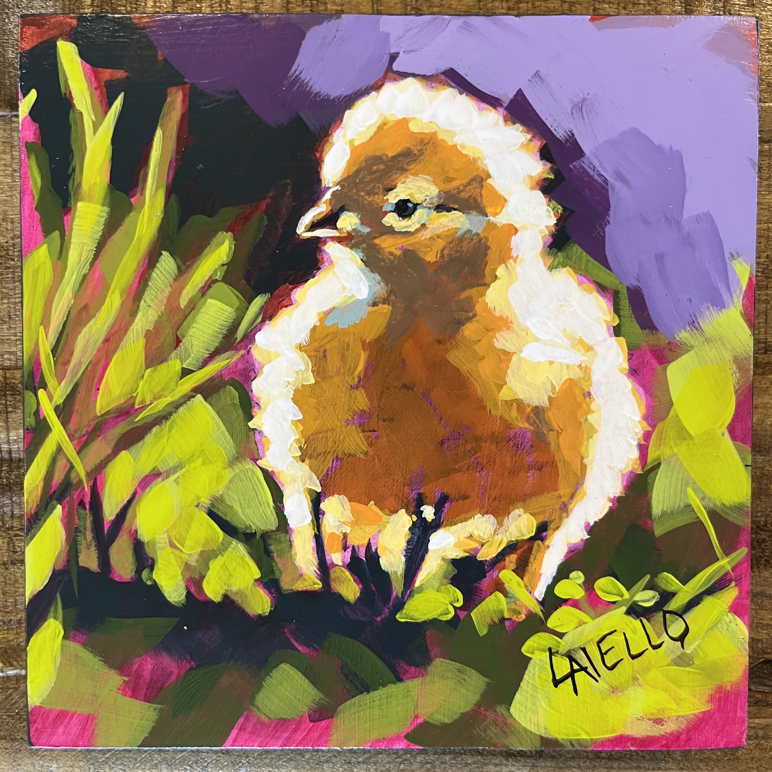 Litlle Chick - Spring Series