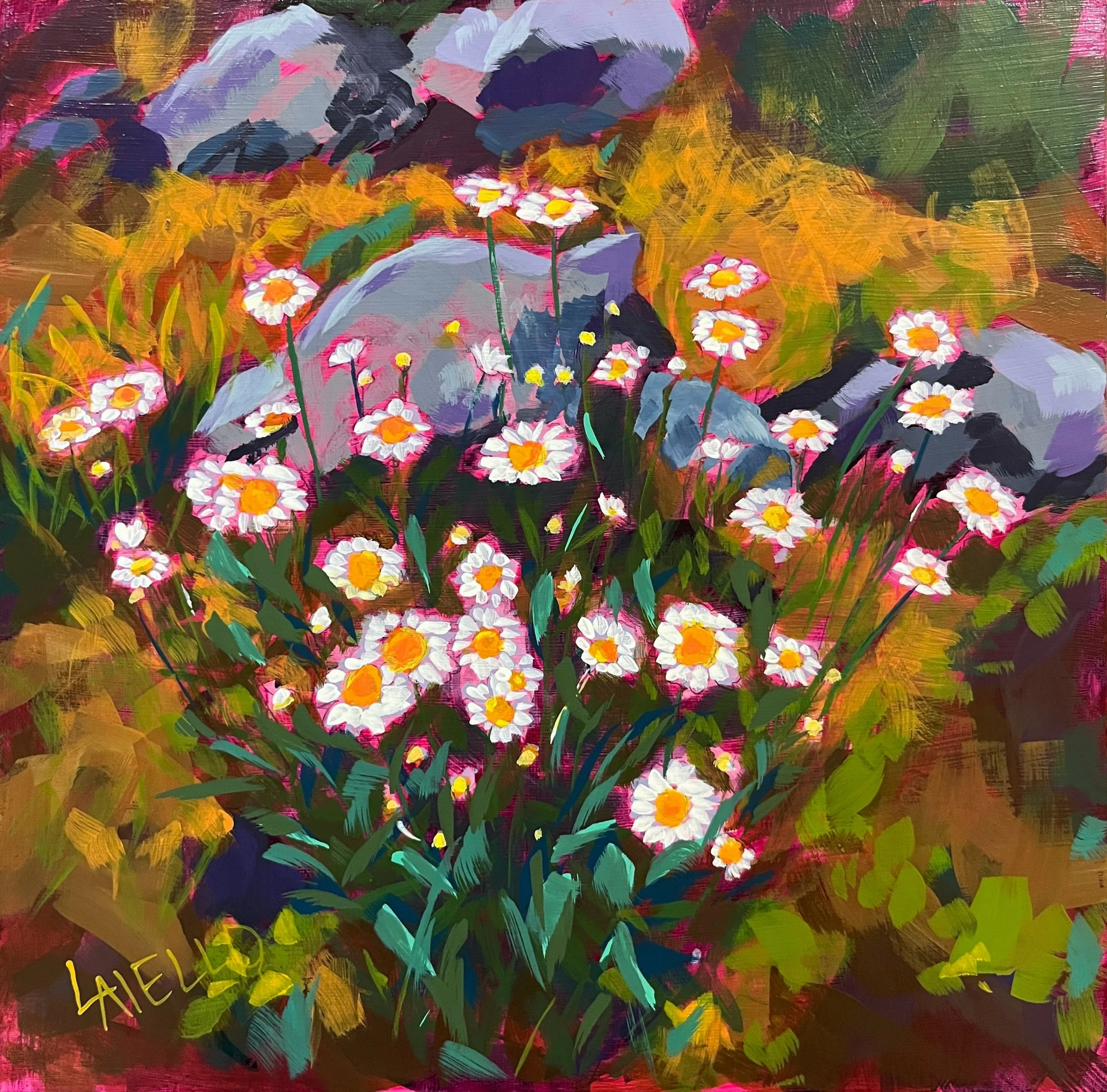 Smoky Mountain Daisies