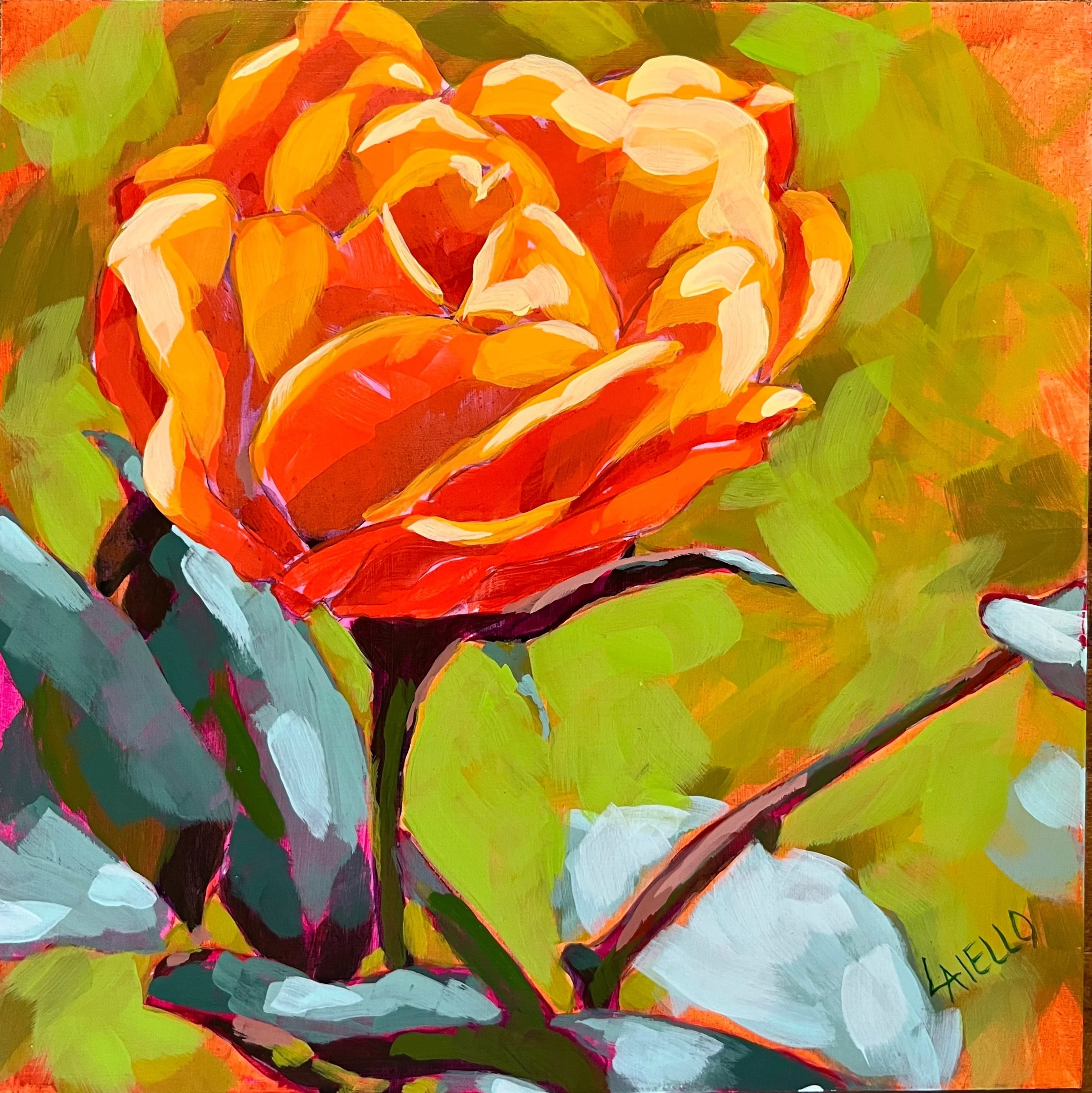 Orange Rose.jpg