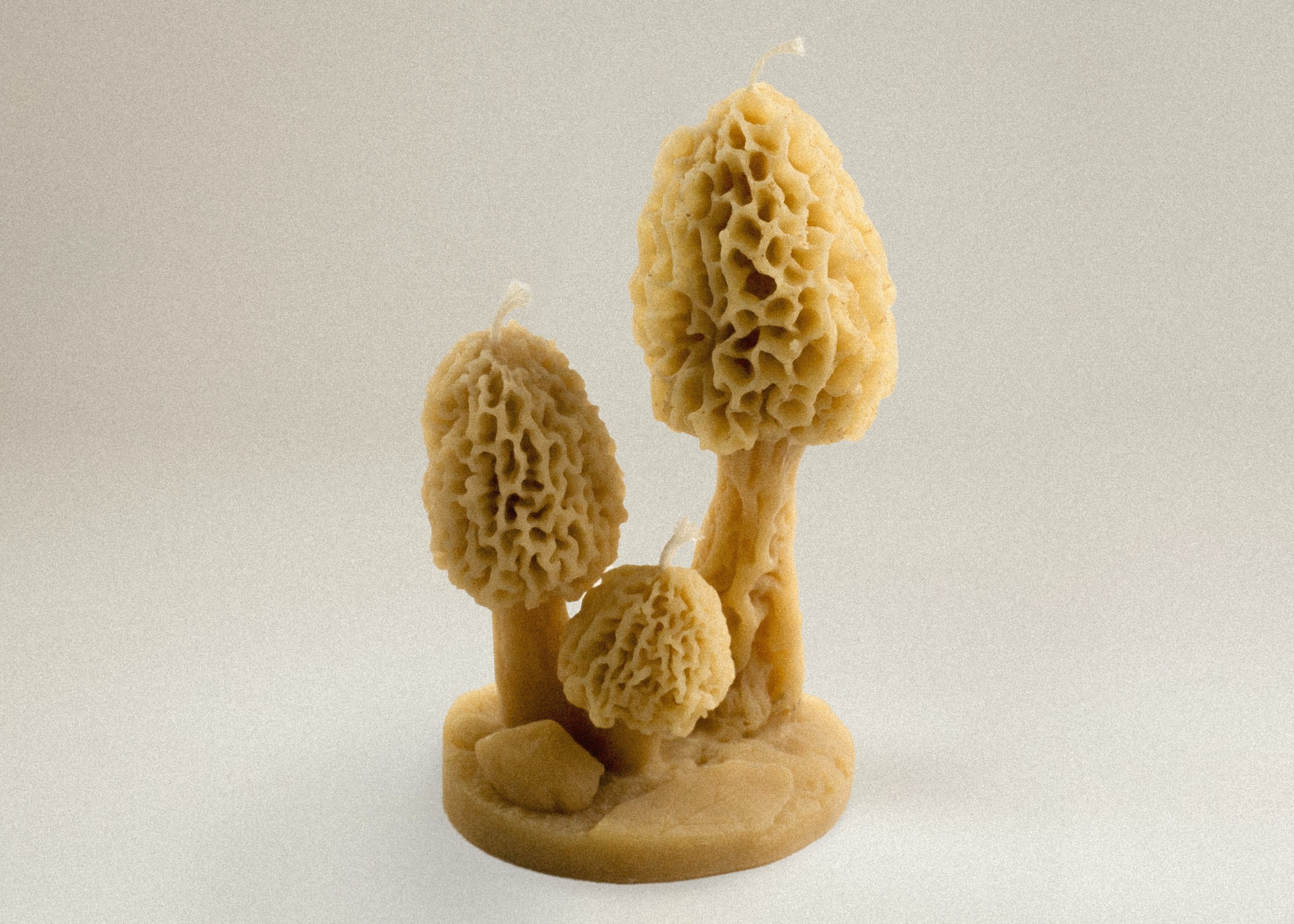Morel Mushroom Cluster Beeswax Candle