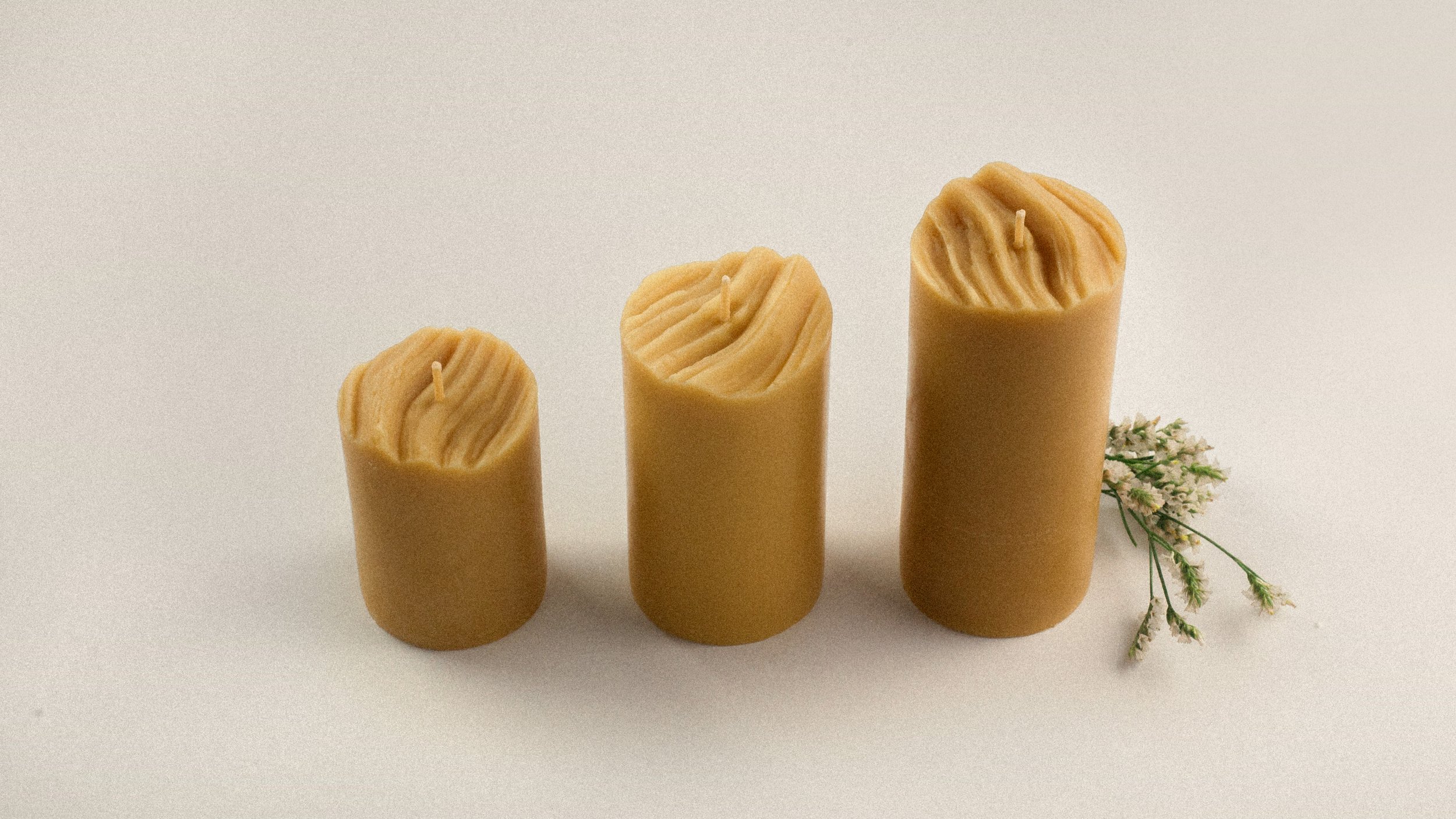 Pillars Wood Pressed on white Higher.jpg