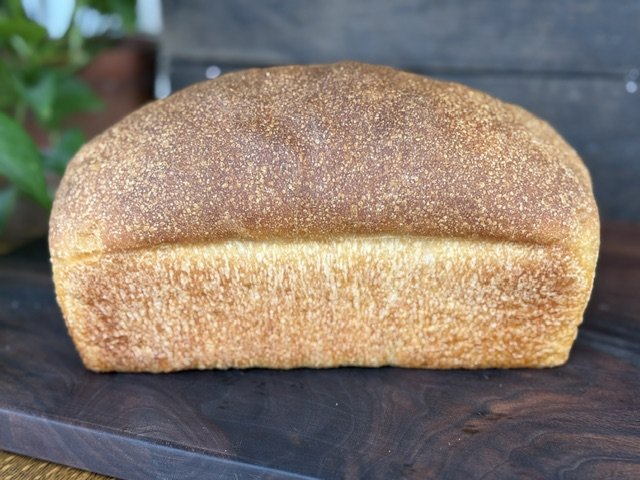 Whole Wheat Sourdough Sandwich Bread