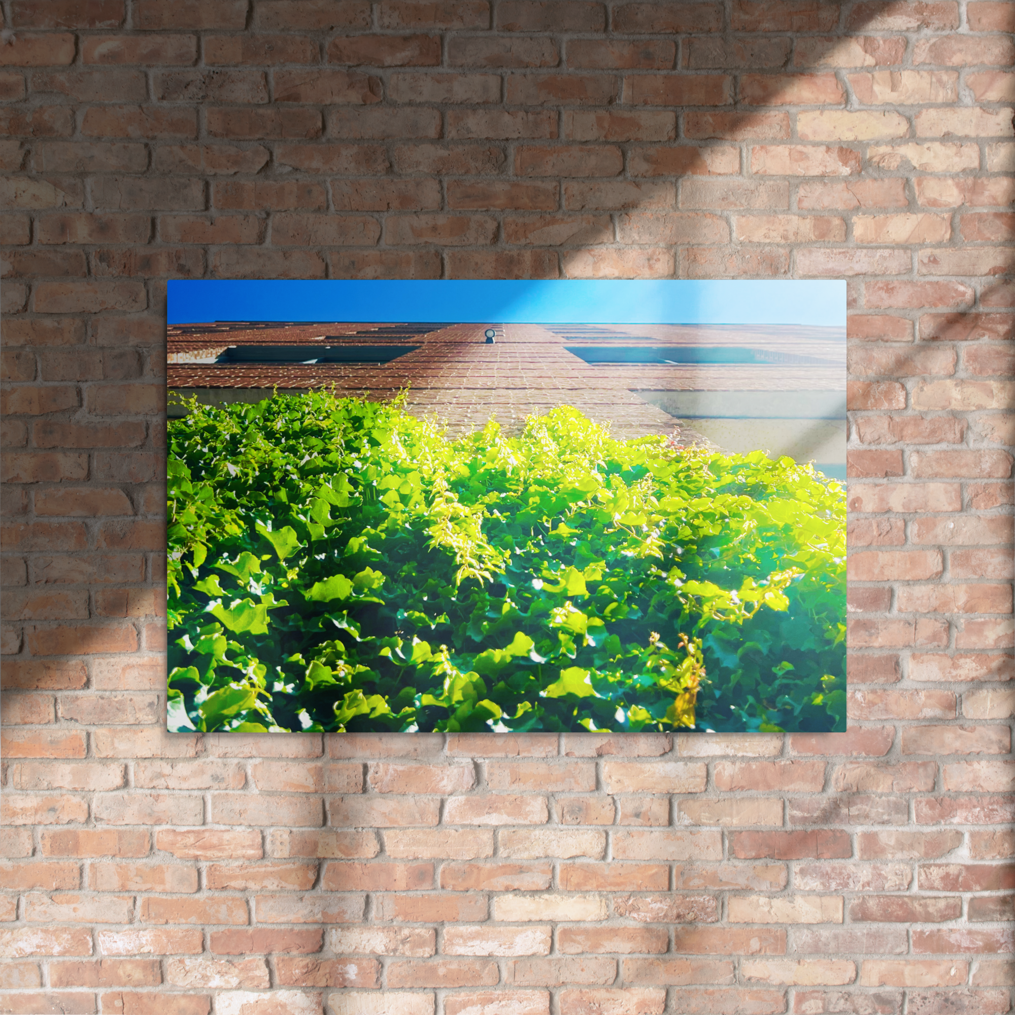 glossy-metal-print-(in)-white-24x36-front-6a8a4b54a2ce5.png