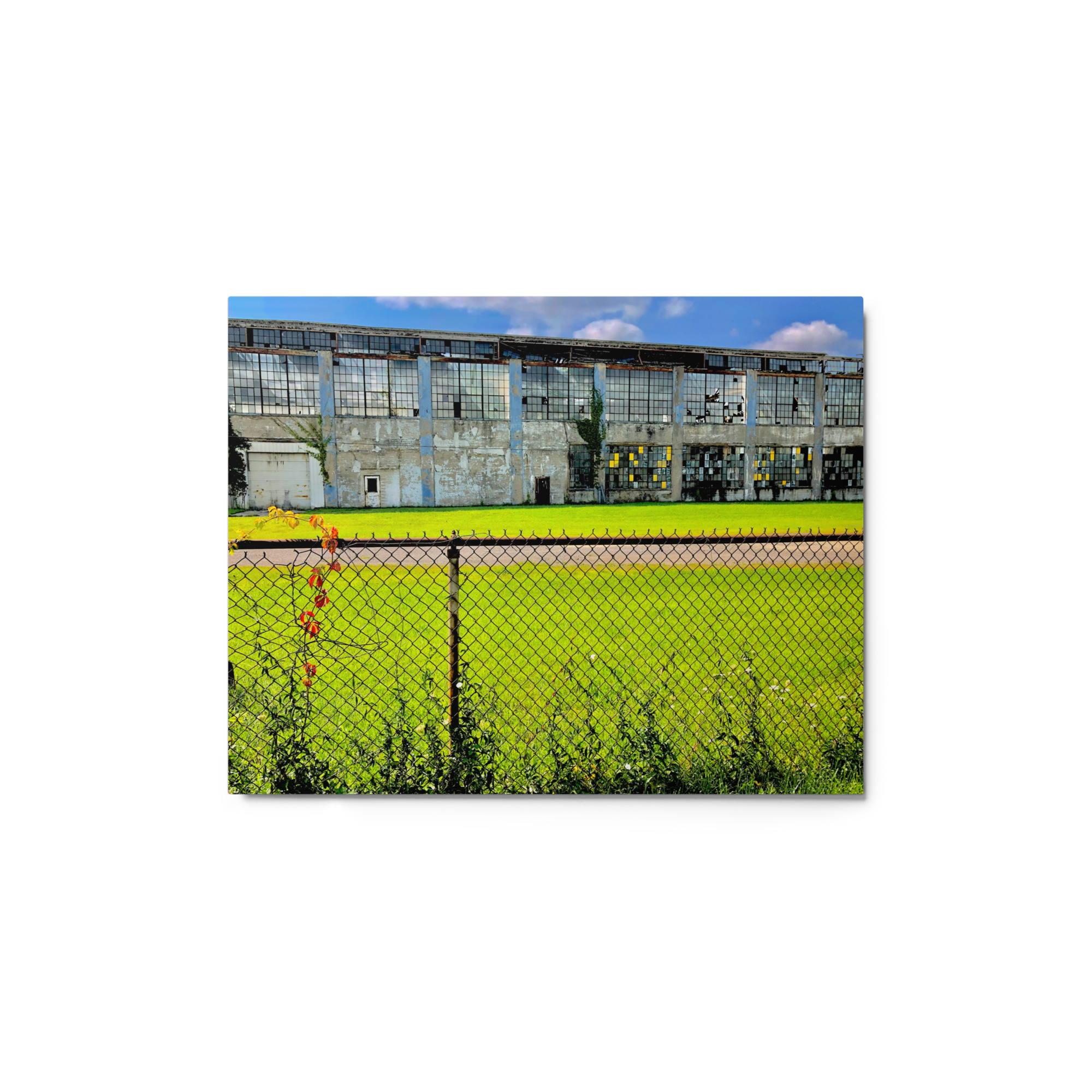 glossy-metal-print-(in)-white-11x14-front-6a7bf75a924fd.png