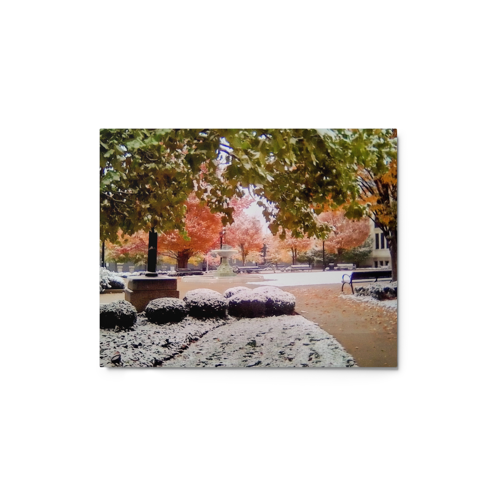 glossy-metal-print-(in)-white-8x10-front-6a80a352ae084.png