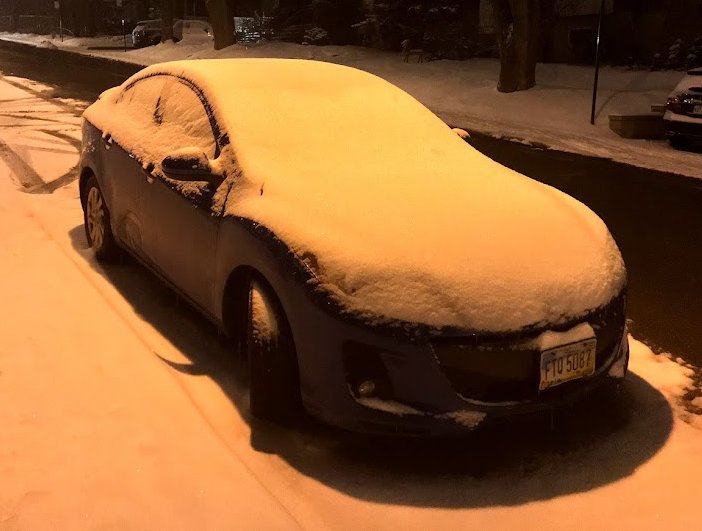 Digging from the Snow