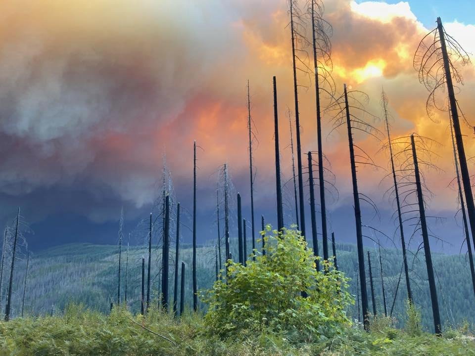 Earth Weeps