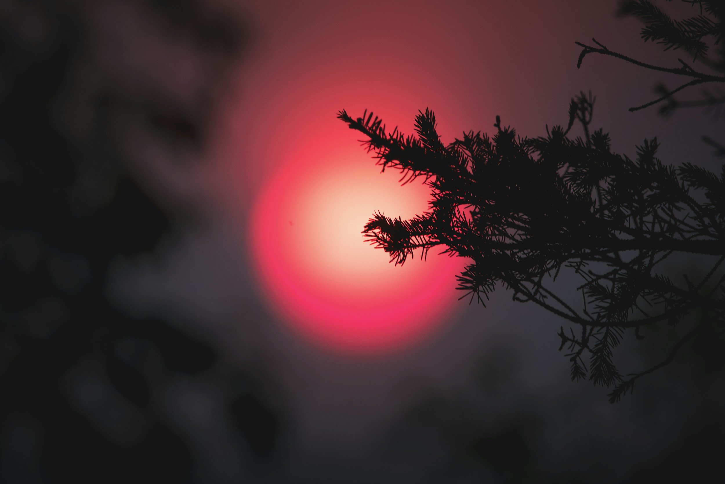 The Dark of Smoke