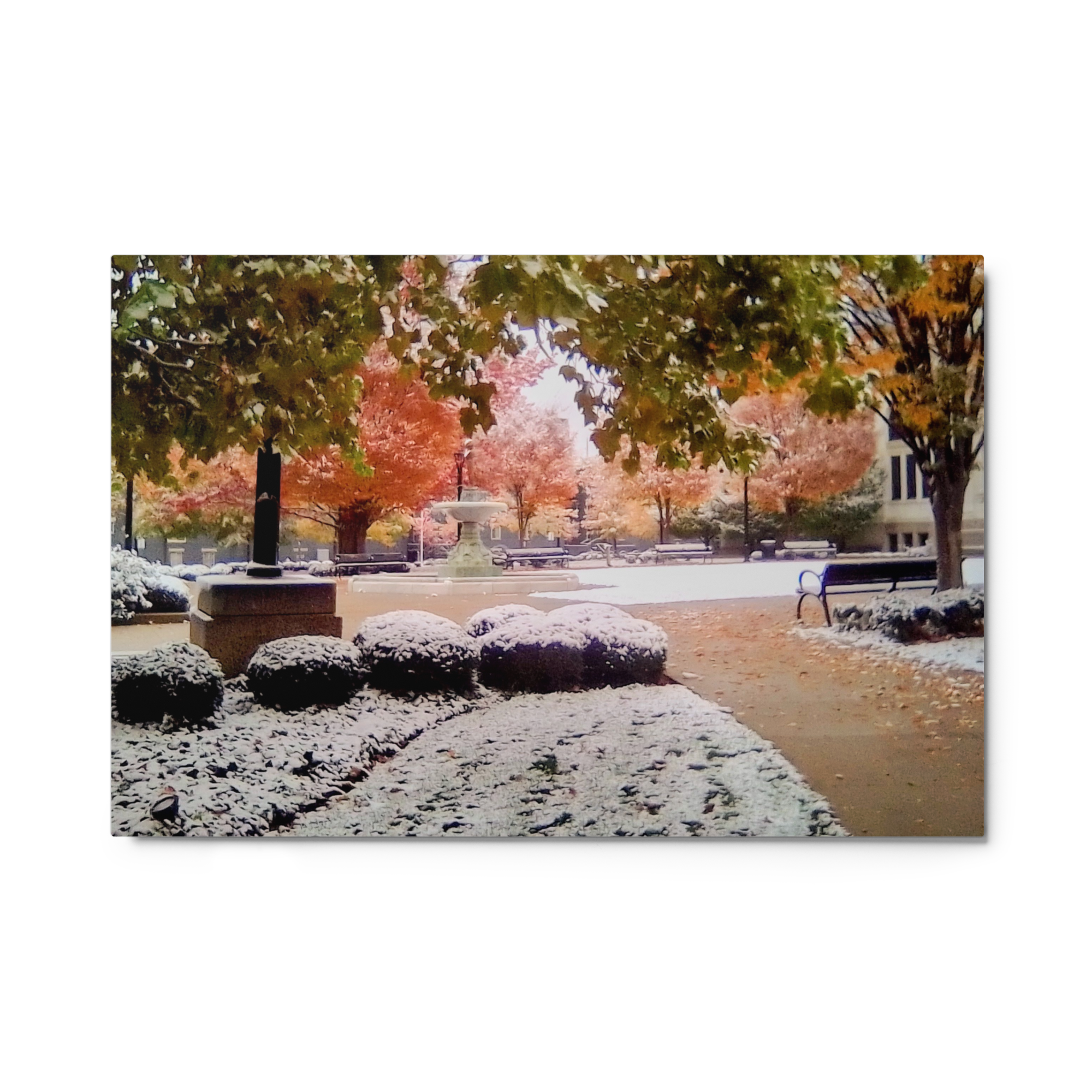 glossy-metal-print-(in)-white-24x36-front-6a80a352af994.png