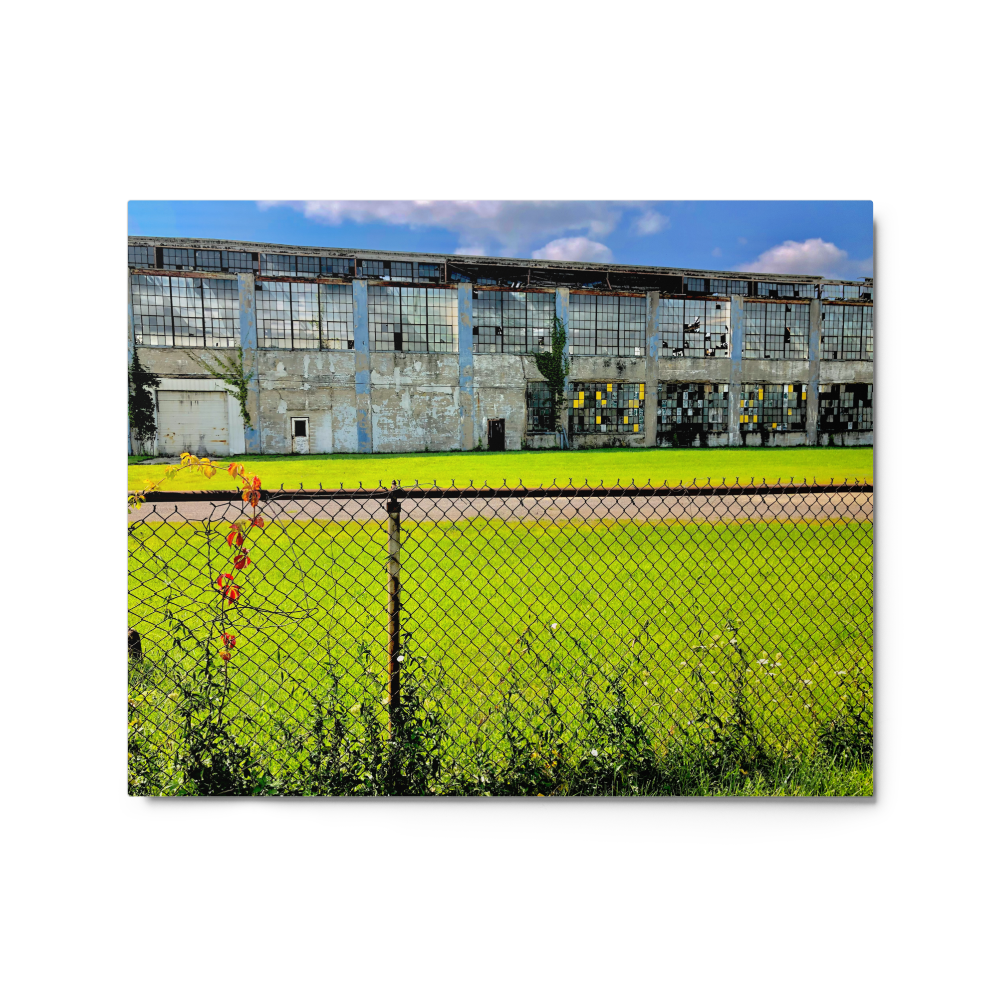glossy-metal-print-(in)-white-16x20-front-6a7bf75a92c35.png