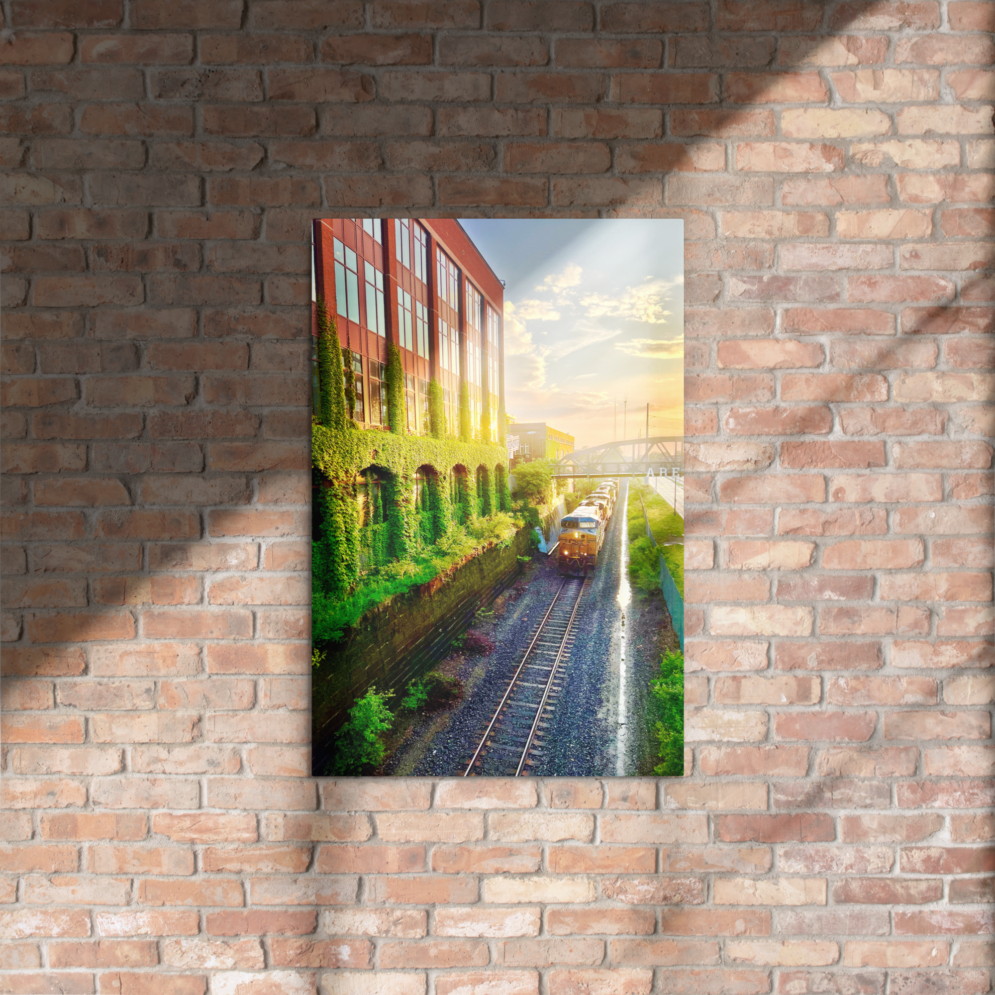 glossy-metal-print-(in)-white-20x30-front-6a808e7908cc0.png