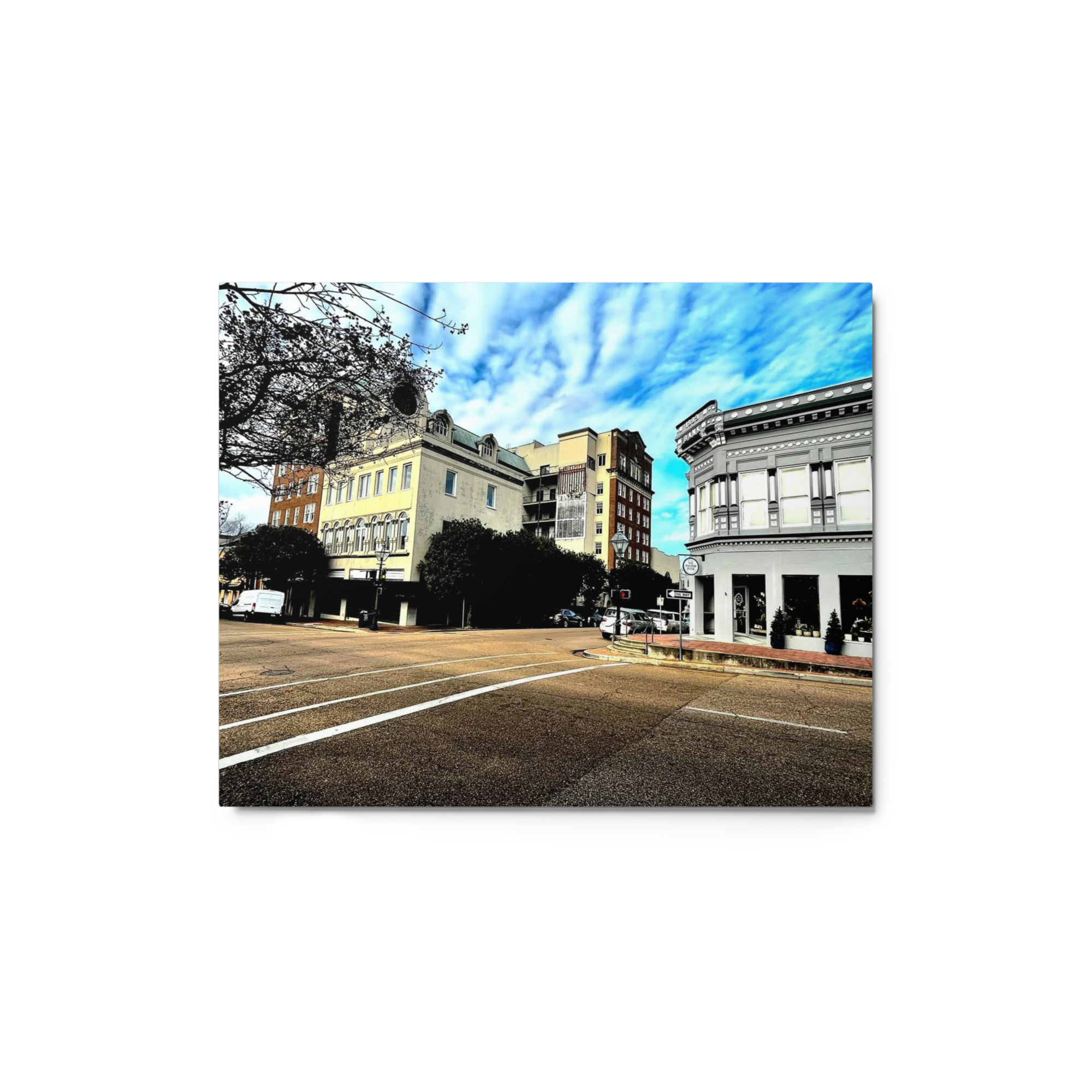 glossy-metal-print-(in)-white-8x10-front-6a7cd17e23b2d.png