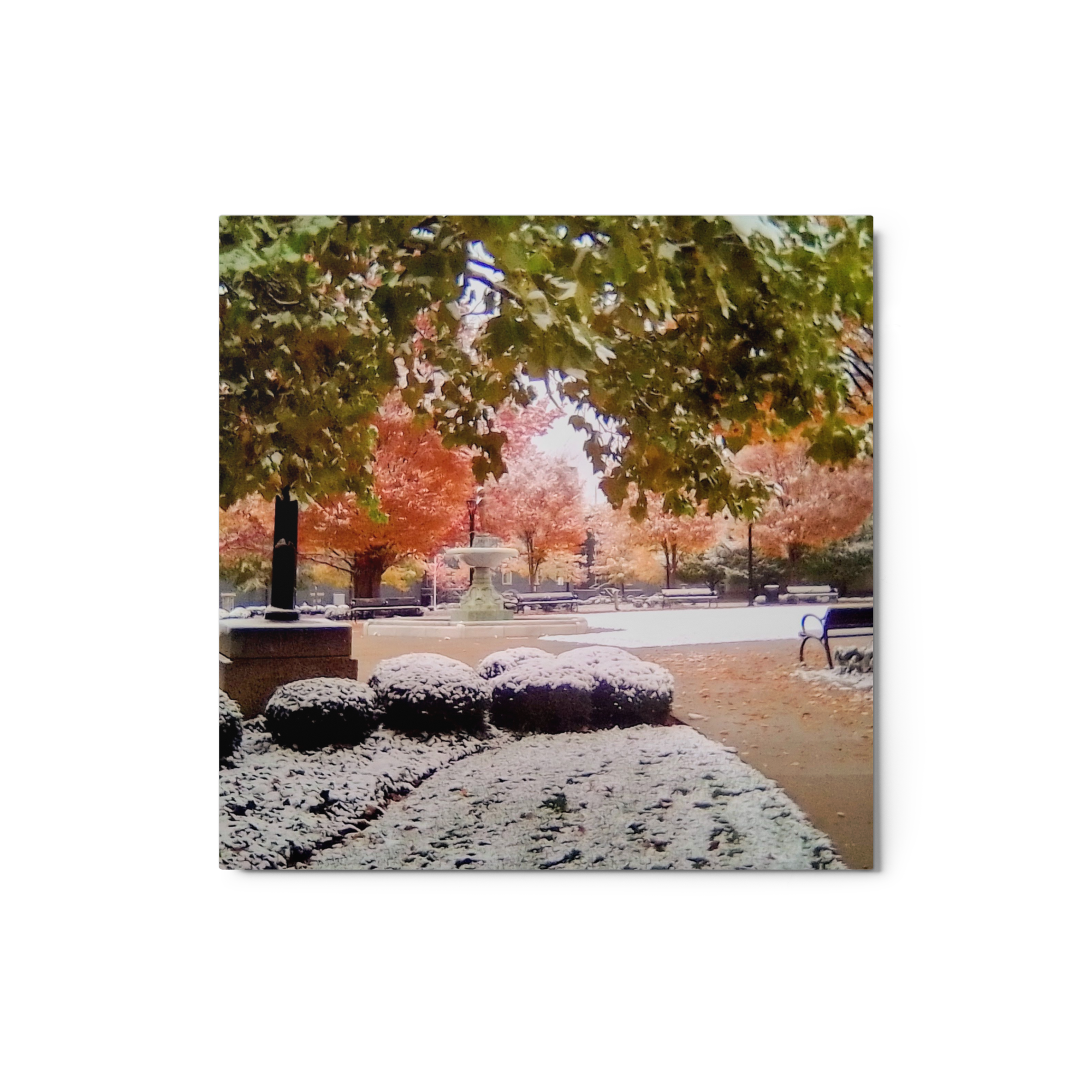 glossy-metal-print-(in)-white-12x12-front-6a80a352ae4c1.png