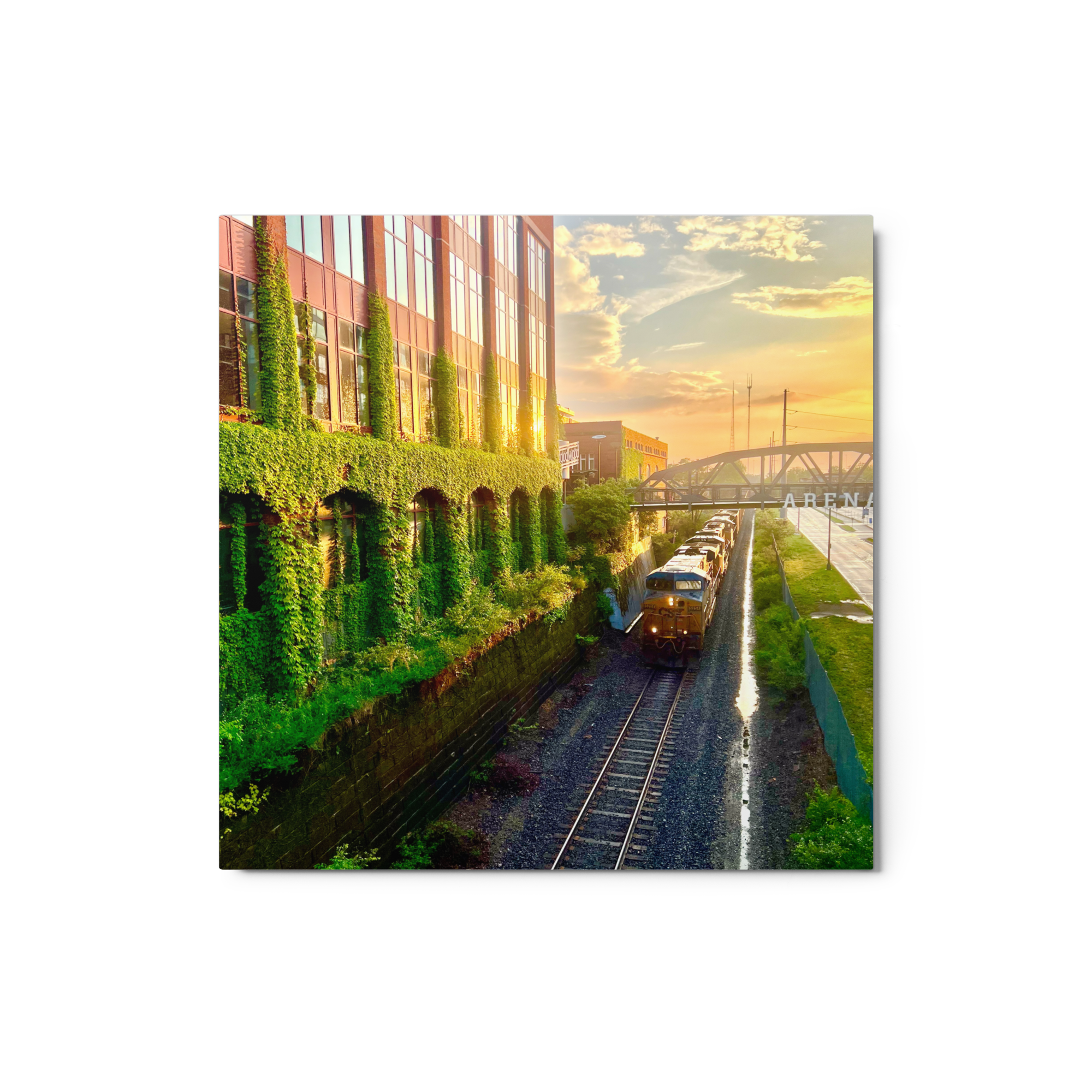 glossy-metal-print-(in)-white-12x12-front-6a808e7907cc2.png