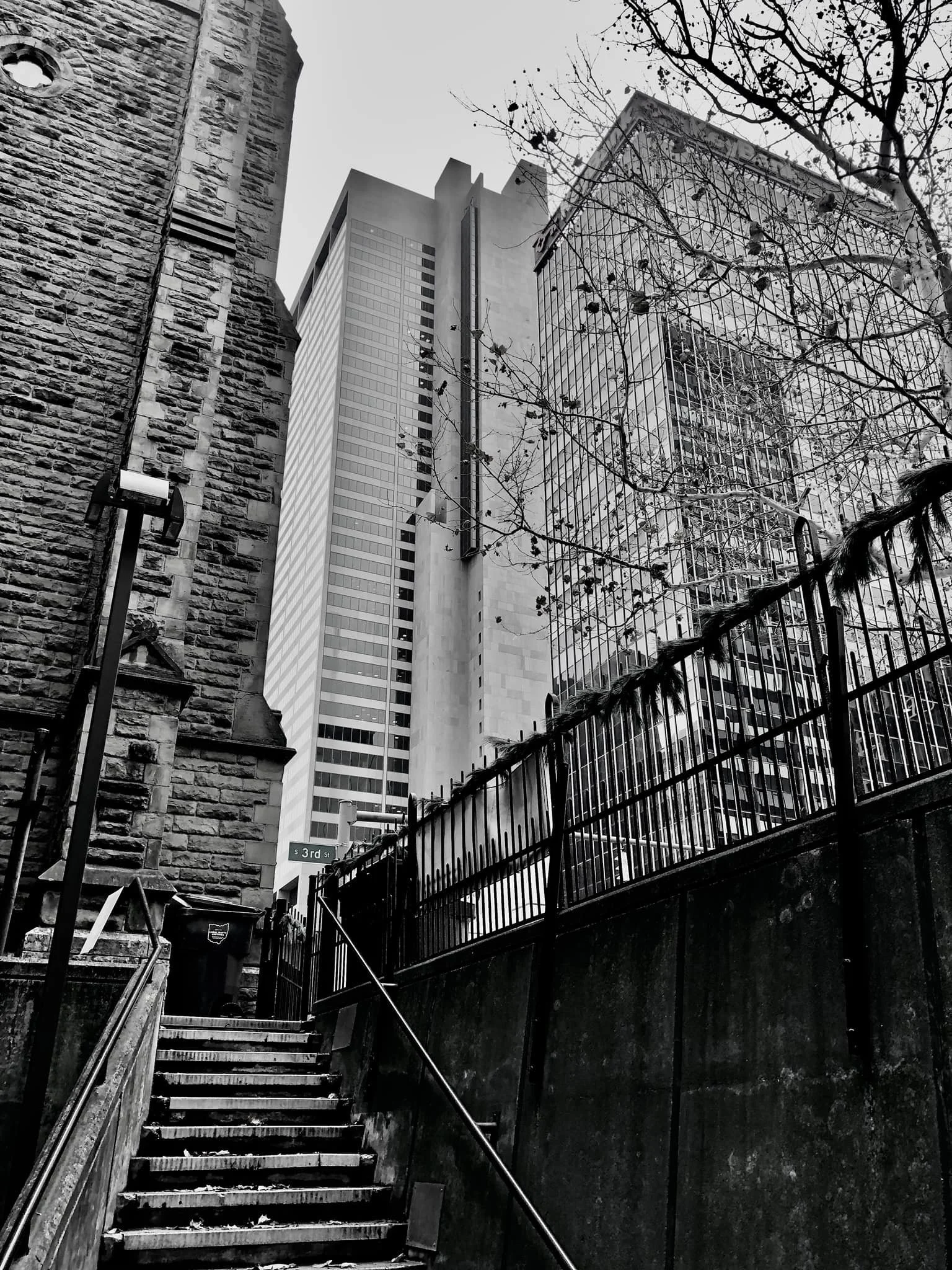 Cellar to Sky