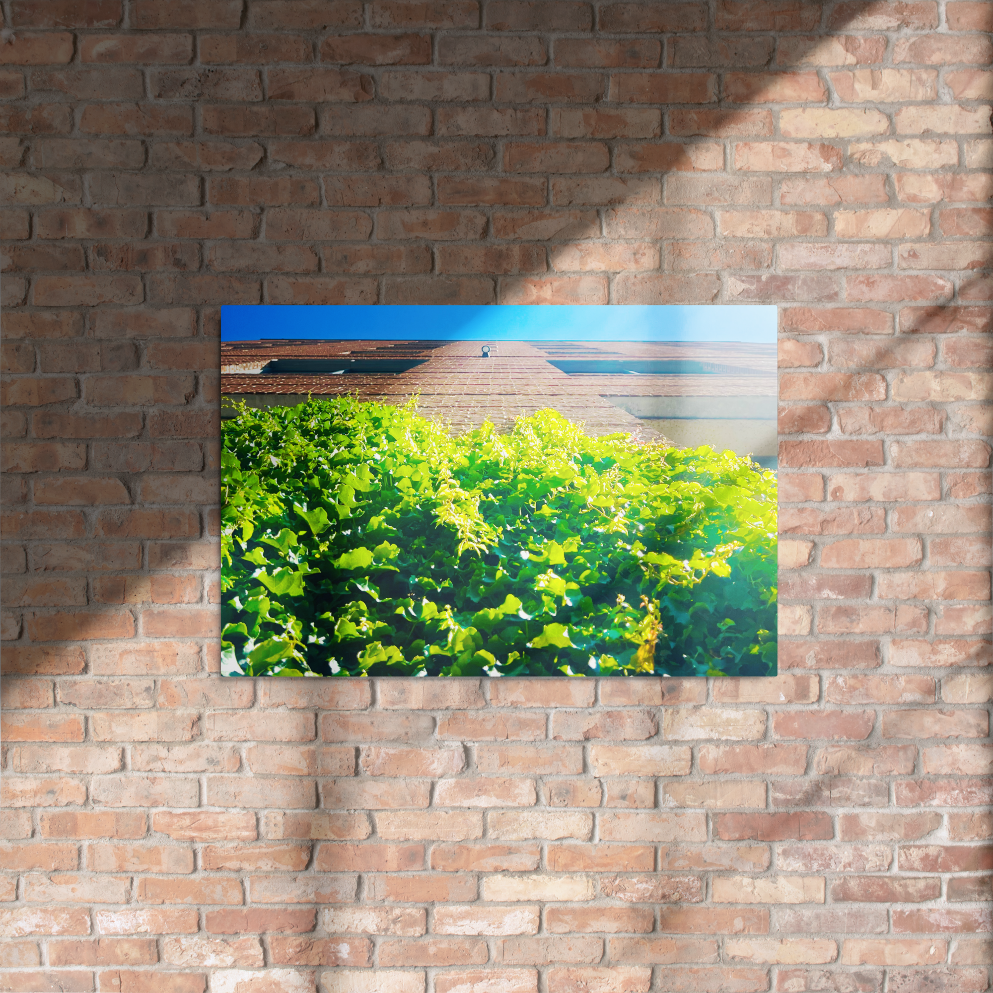 glossy-metal-print-(in)-white-20x30-front-6a8a4b54a29d6.png