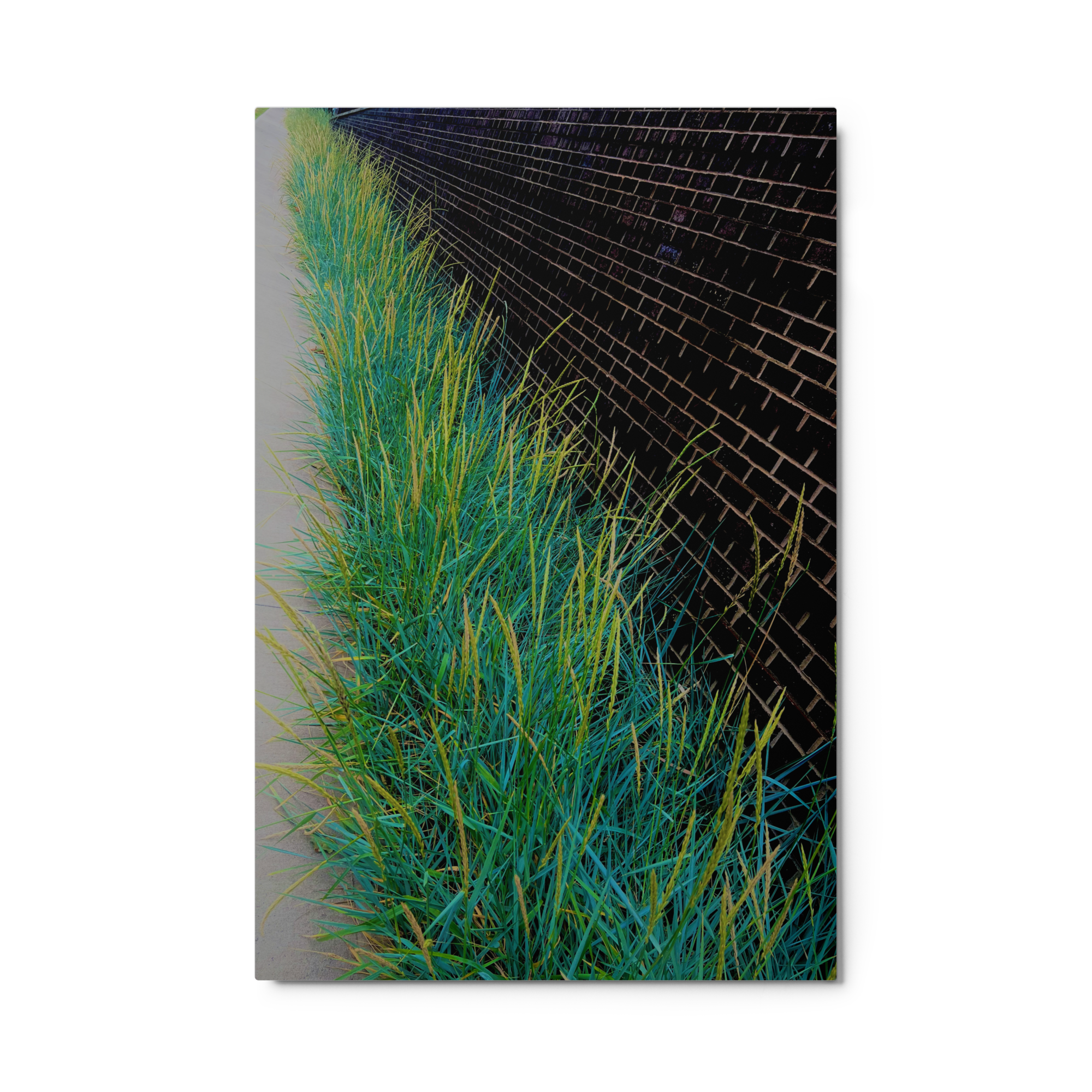 Urban Grass