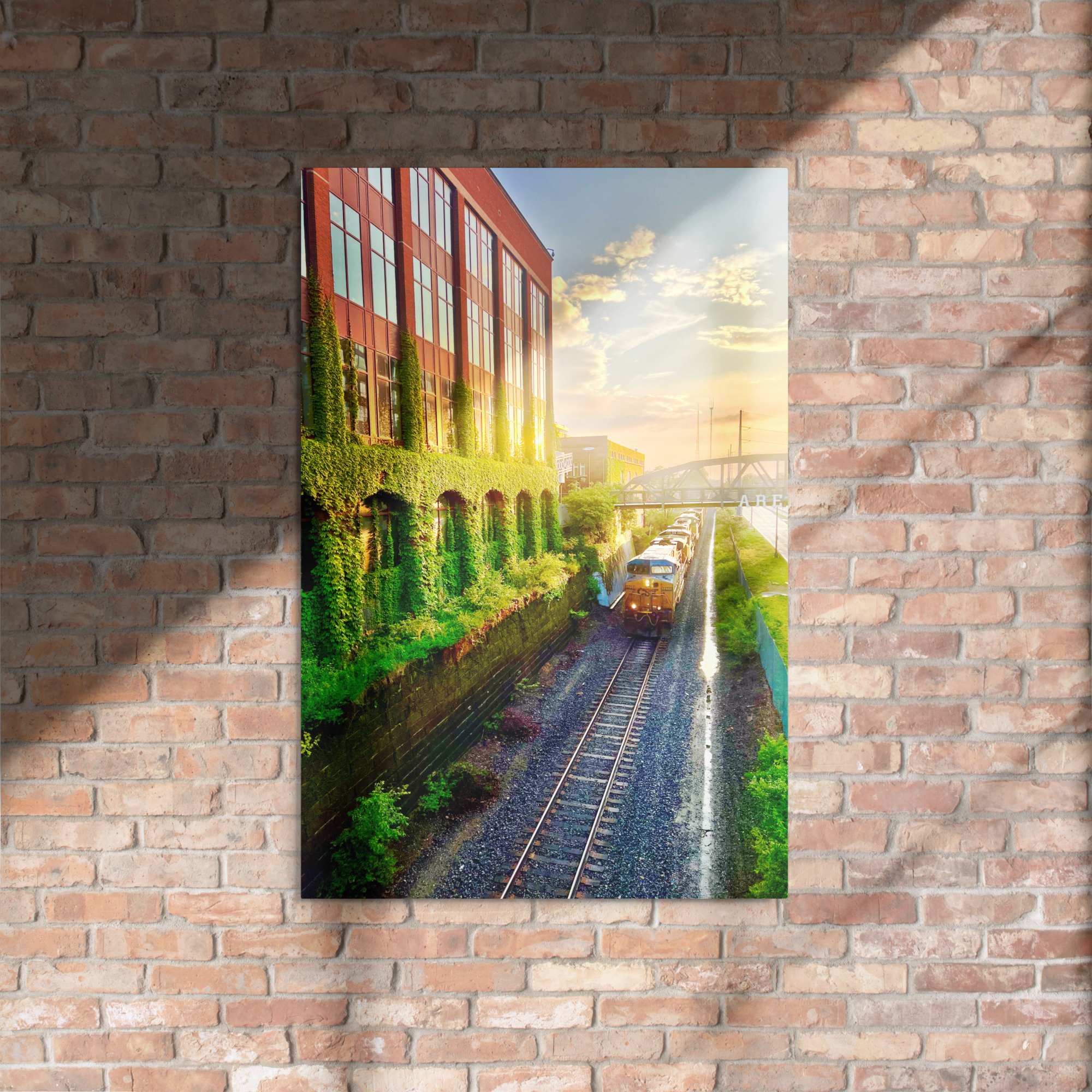 glossy-metal-print-(in)-white-24x36-front-6a808e7908e2b.png