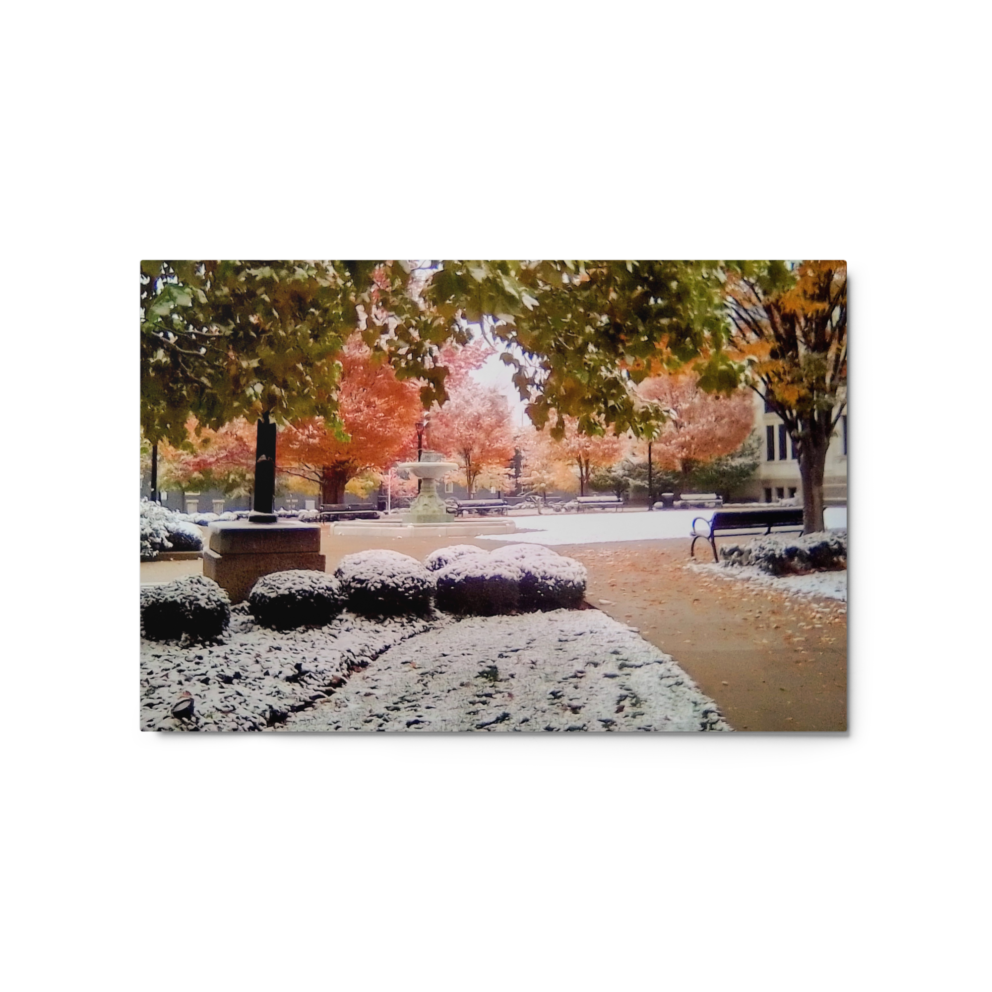 glossy-metal-print-(in)-white-20x30-front-6a80a352af656.png