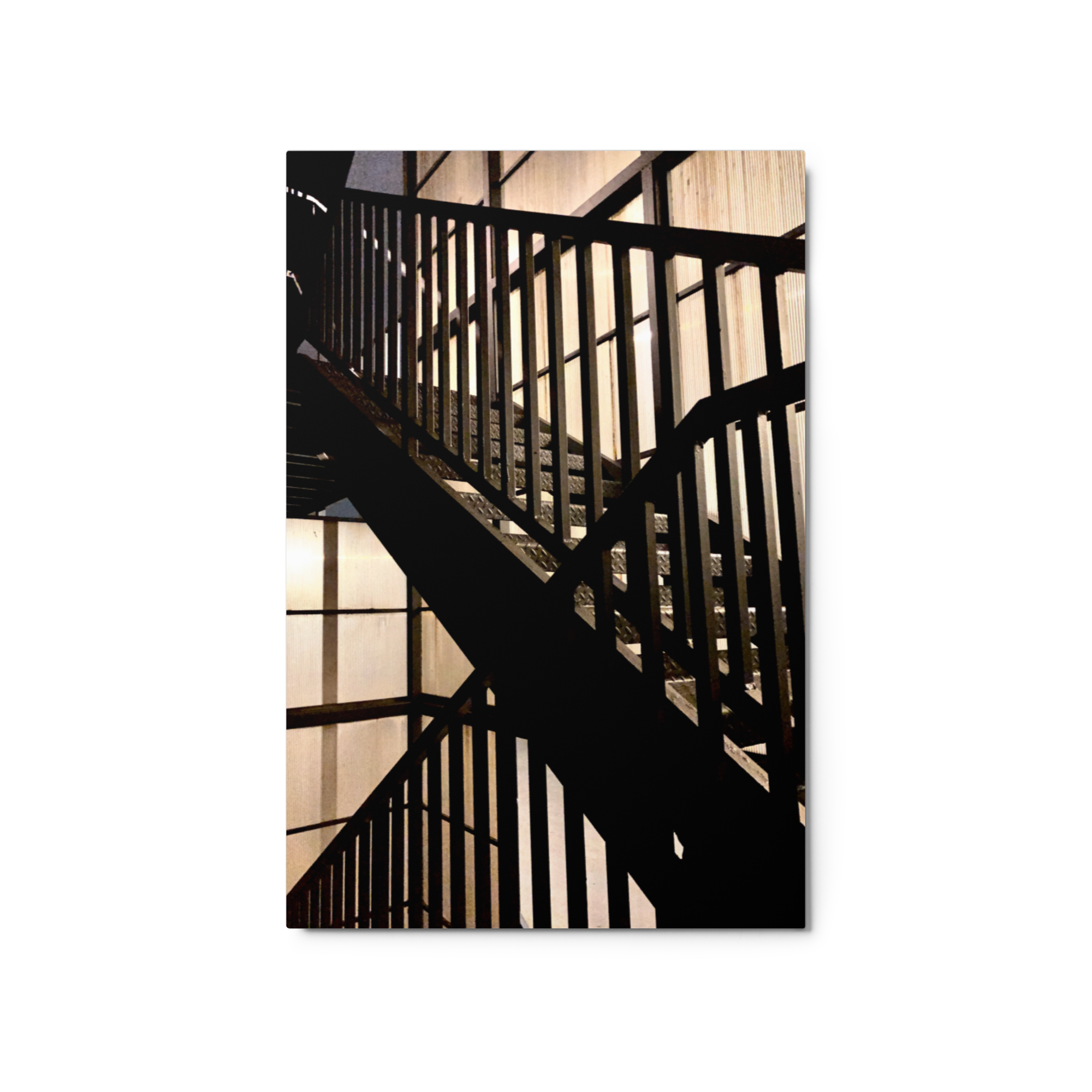 glossy-metal-print-(in)-white-20x30-front-6a7ccd8ed8114.png
