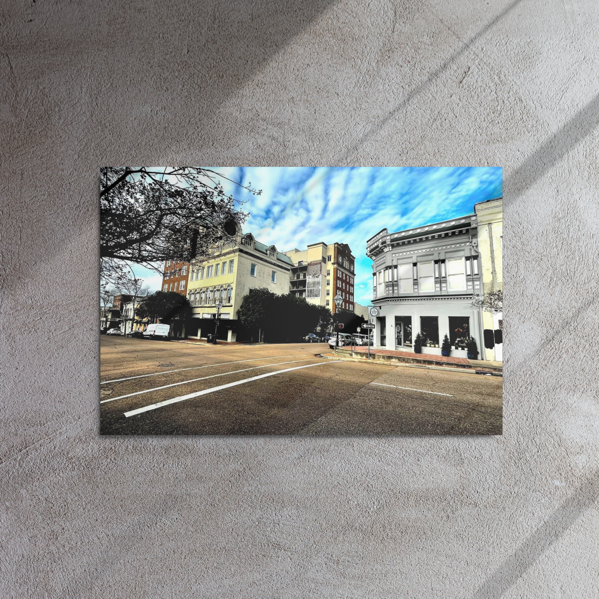 glossy-metal-print-(in)-white-20x30-front-6a7cd17e24a4f.png