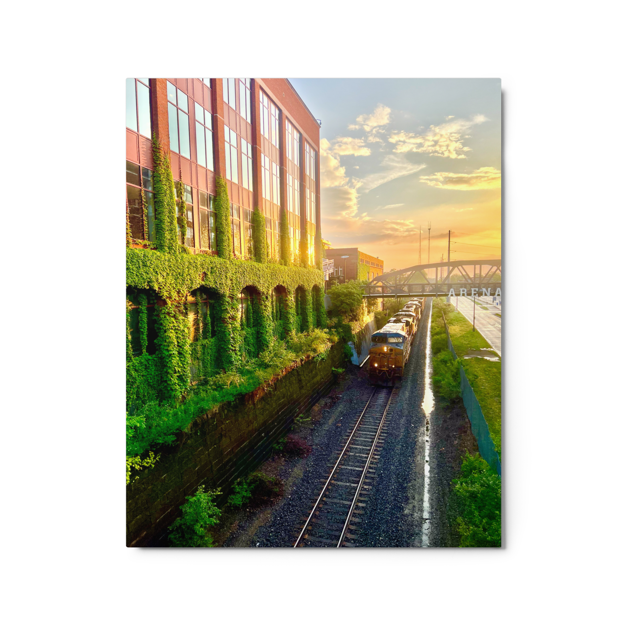 glossy-metal-print-(in)-white-16x20-front-6a808e7908052.png
