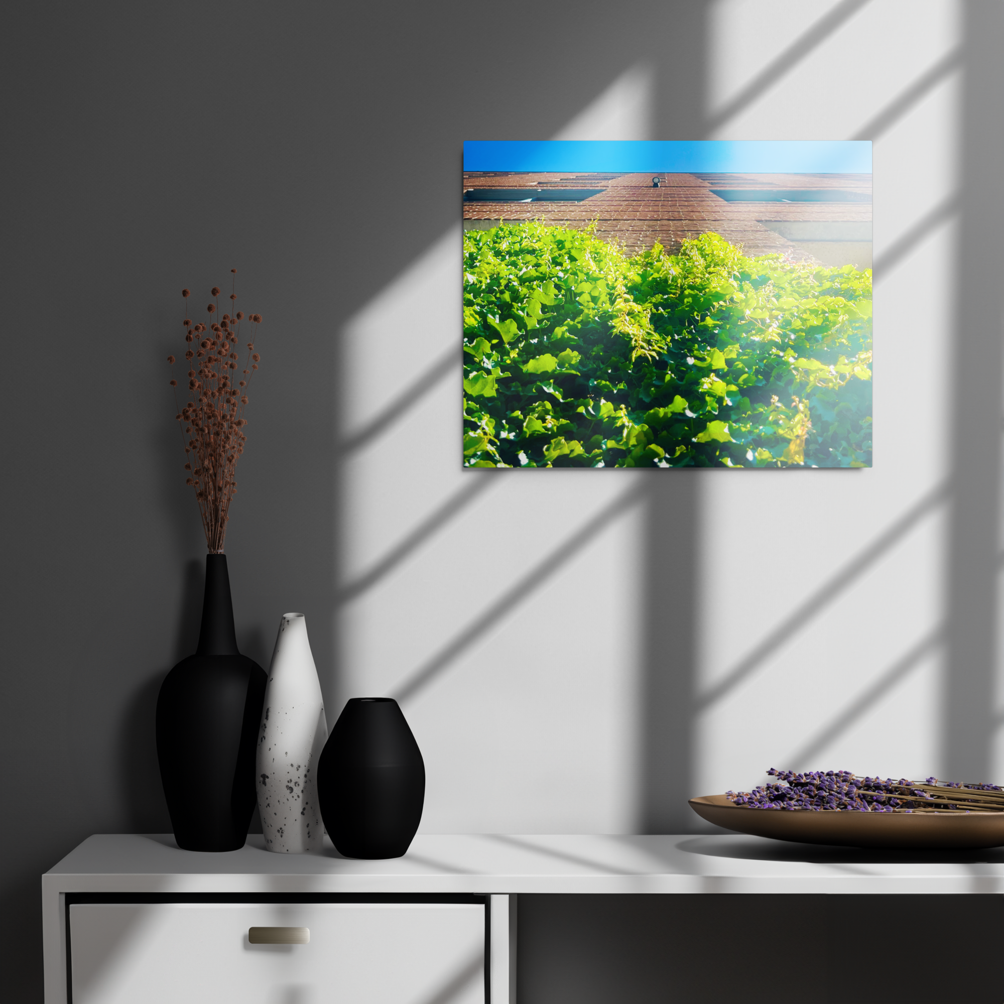 glossy-metal-print-(in)-white-16x20-front-6a8a4b54a26c4.png