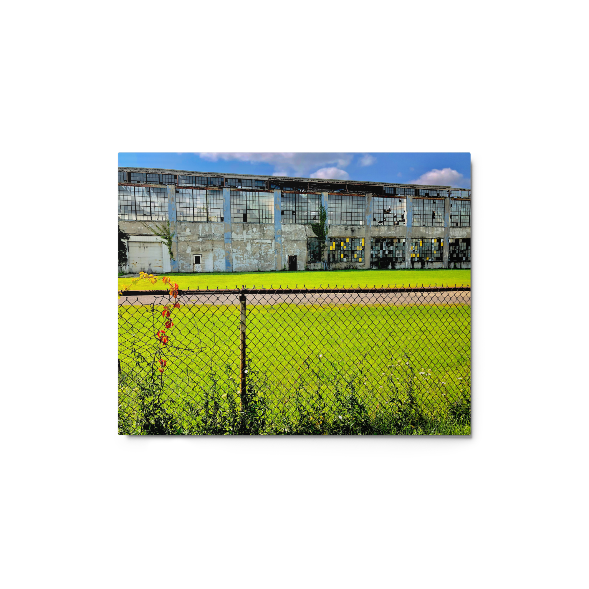 glossy-metal-print-(in)-white-8x10-front-6a7bf75a91d6c.png