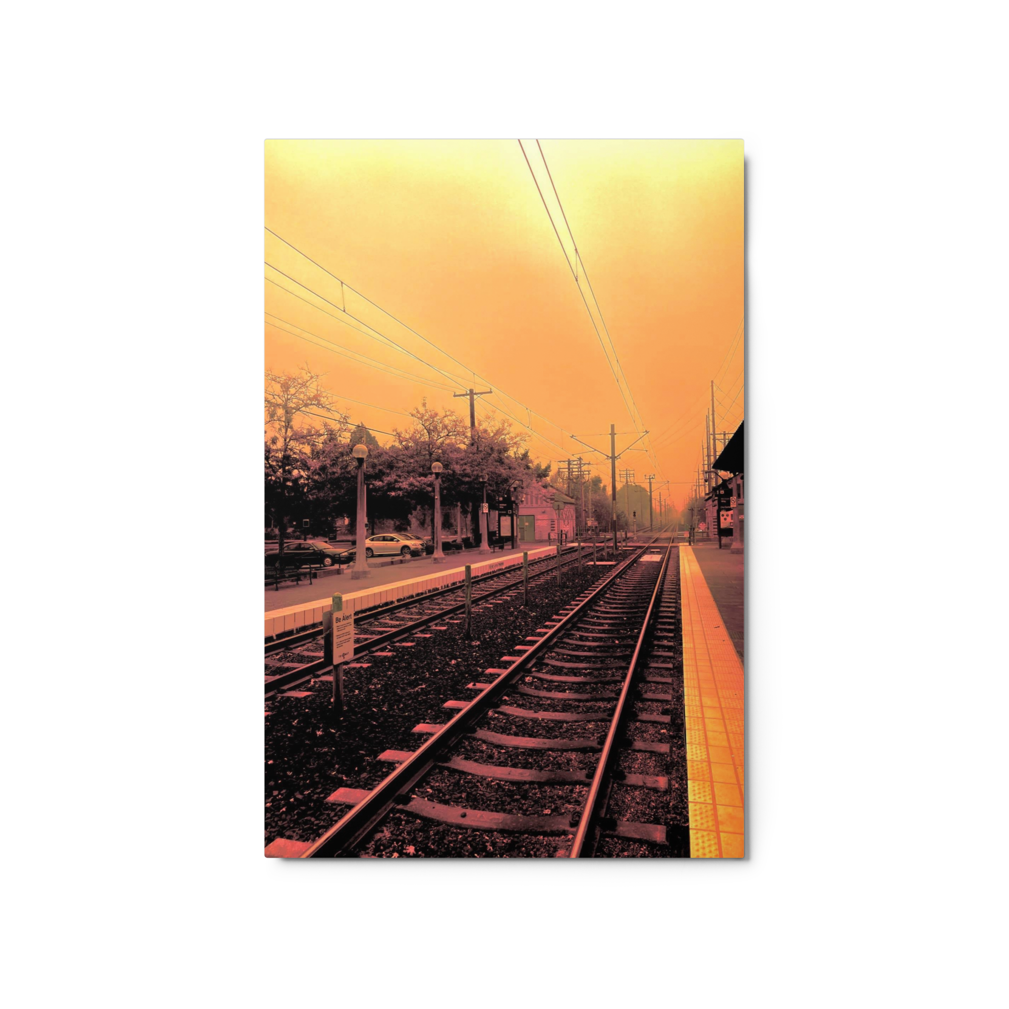 glossy-metal-print-(in)-white-20x30-front-6a80acb33e257.png