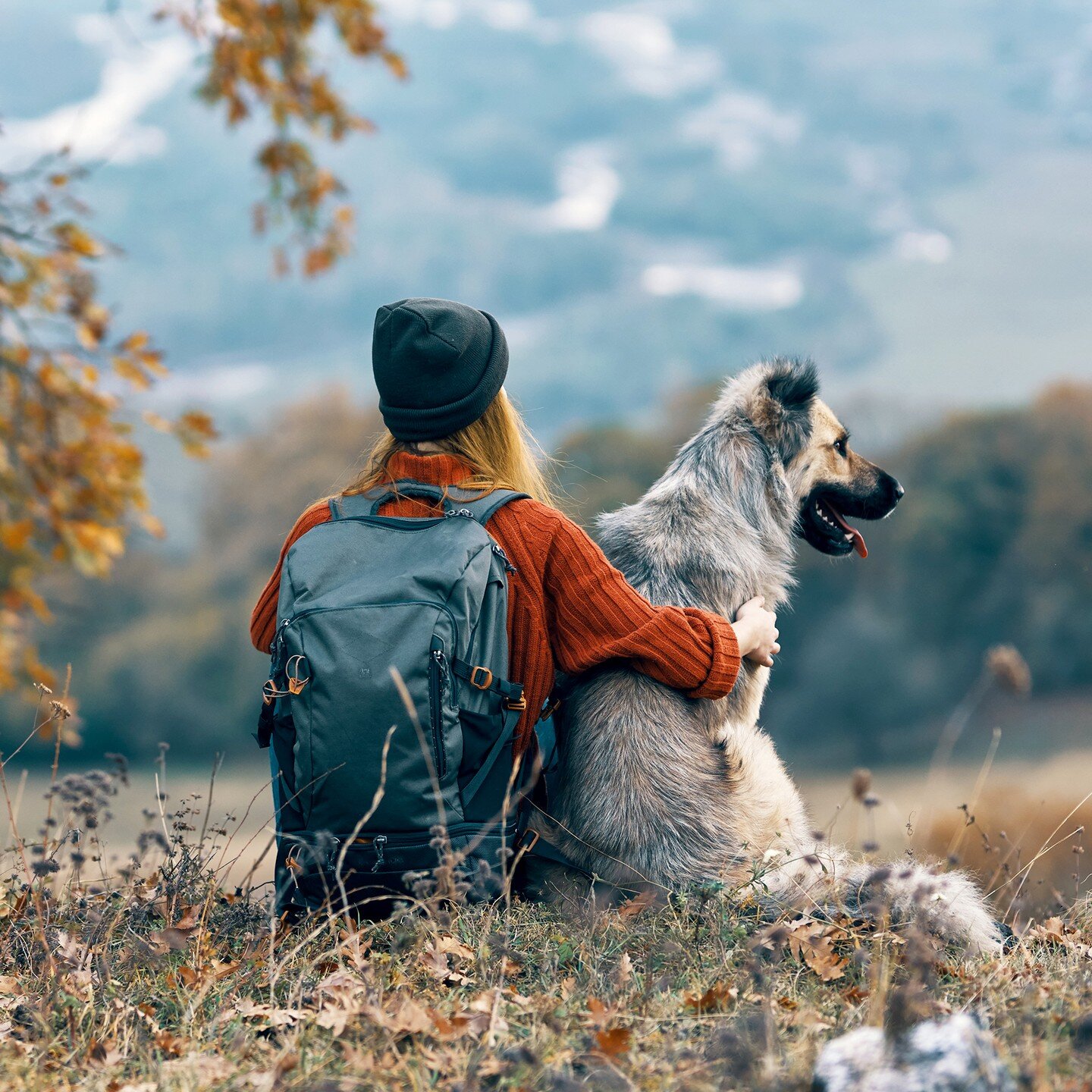 It's National Take a Hike Day! Enjoy some time outside with your pup before the rain hits. #petnannyofeastsac #dogsofsacramento