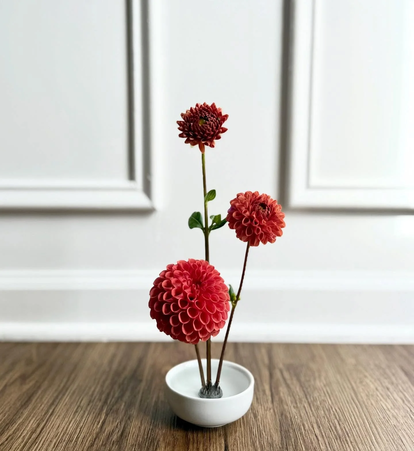 Simple is perfect. I love dahlia season 🤎🤎🤎

#marylandflorist #meswvendor #myeasternshorewedding #weddinginspo #dahliaseason
