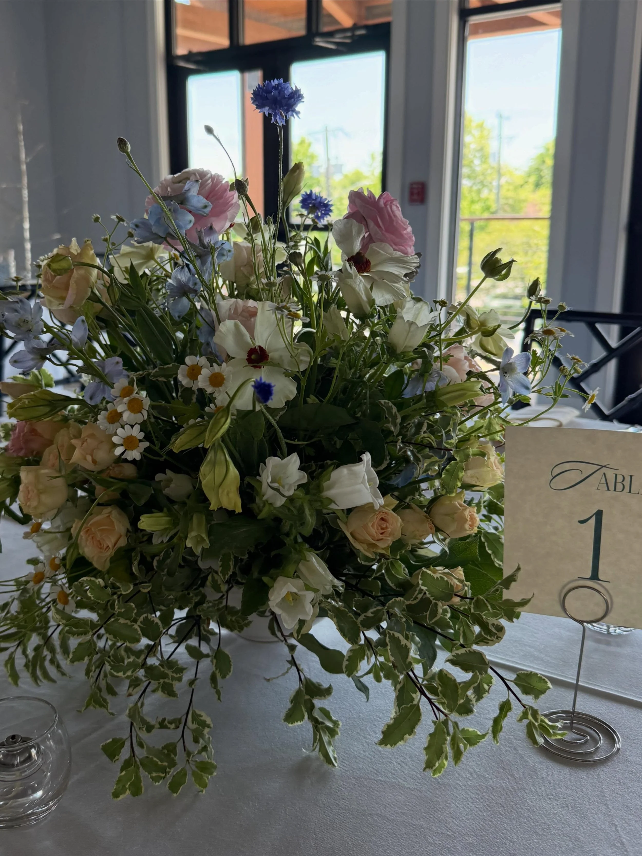 Taking photos of my flowers like they&rsquo;re my babies 🌷

#myeasternshorewedding #marylandflorist #2026bride #2027bride #weddingflowers