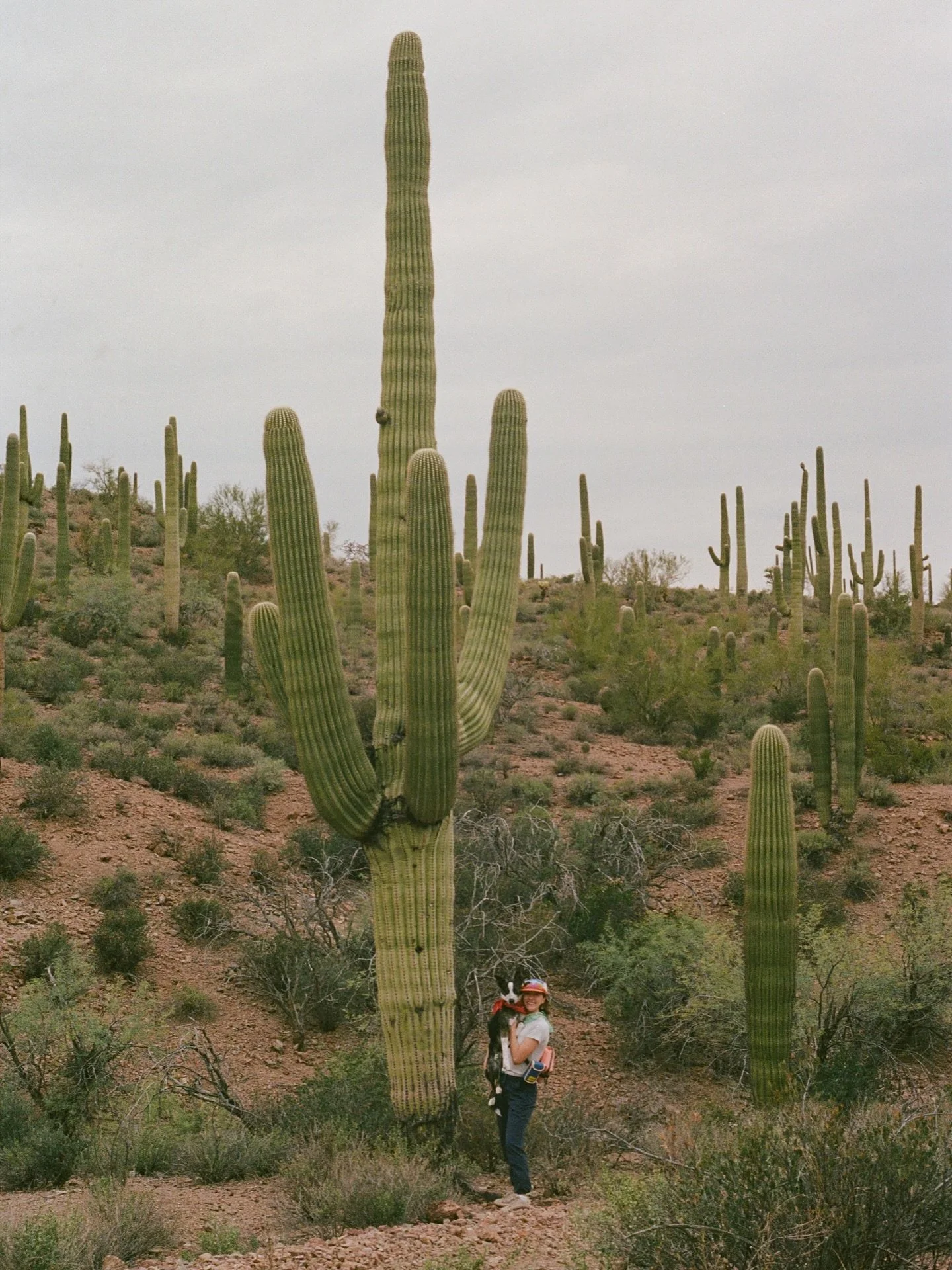 Sonoran Desert scanzzz🌵🧡

#westernartist #sonorandesert #westernillustration #durangoartist #coloradoartist #visualjournal #lifeonfilm #southwestart #westernart #westernstyle