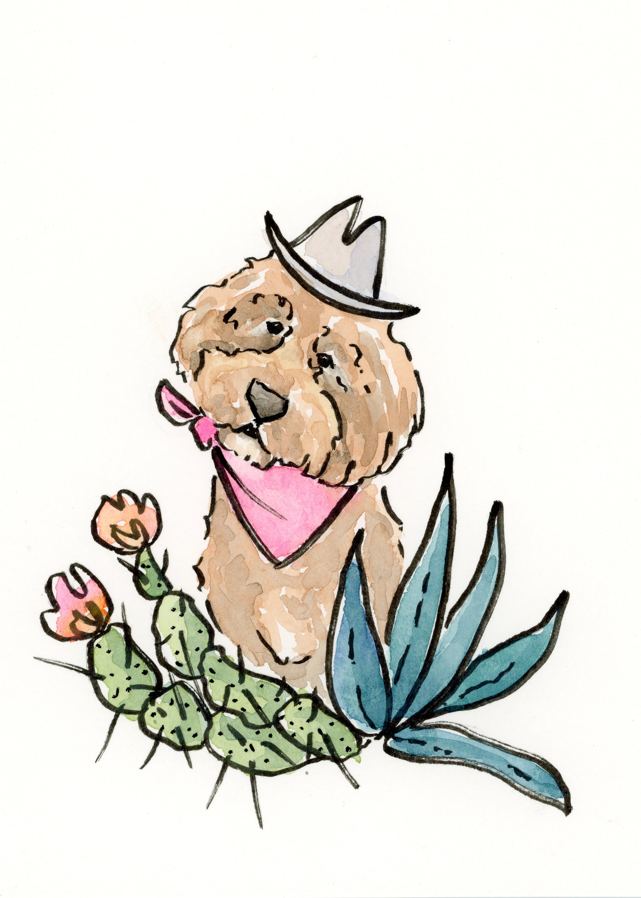 westernpetportrait_zuni.jpg