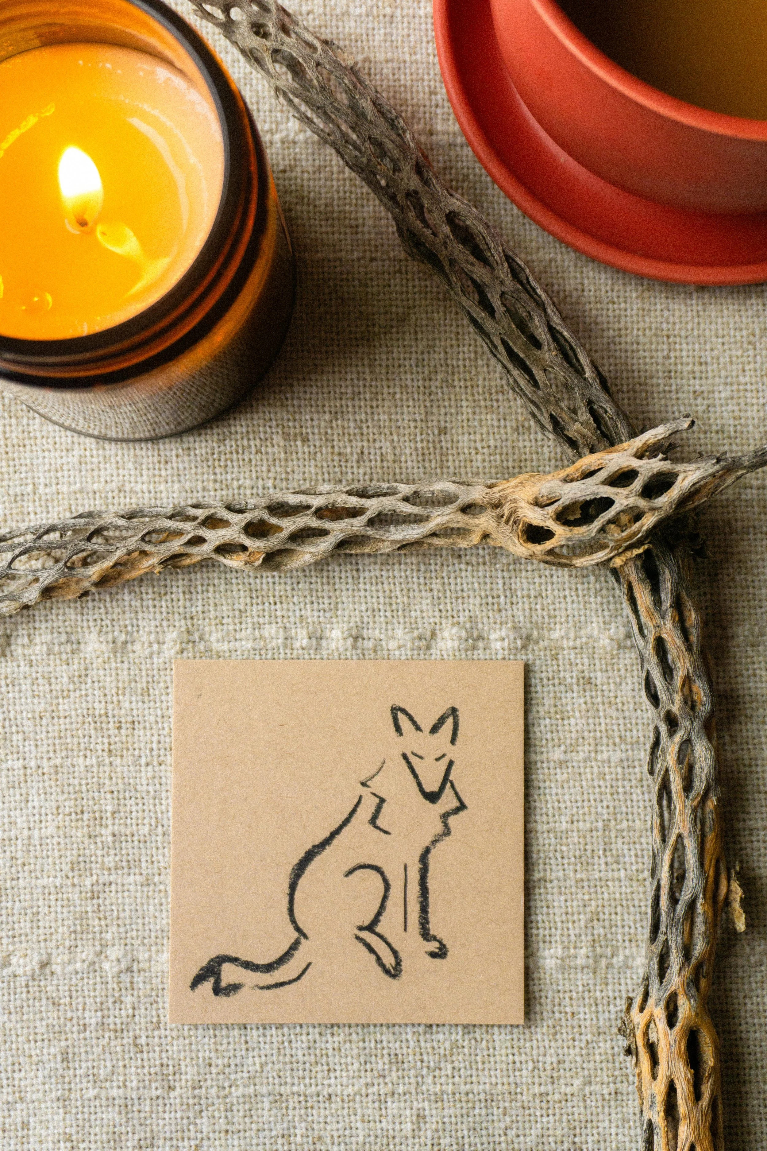 Peaceful Coyote no. 2  | Original