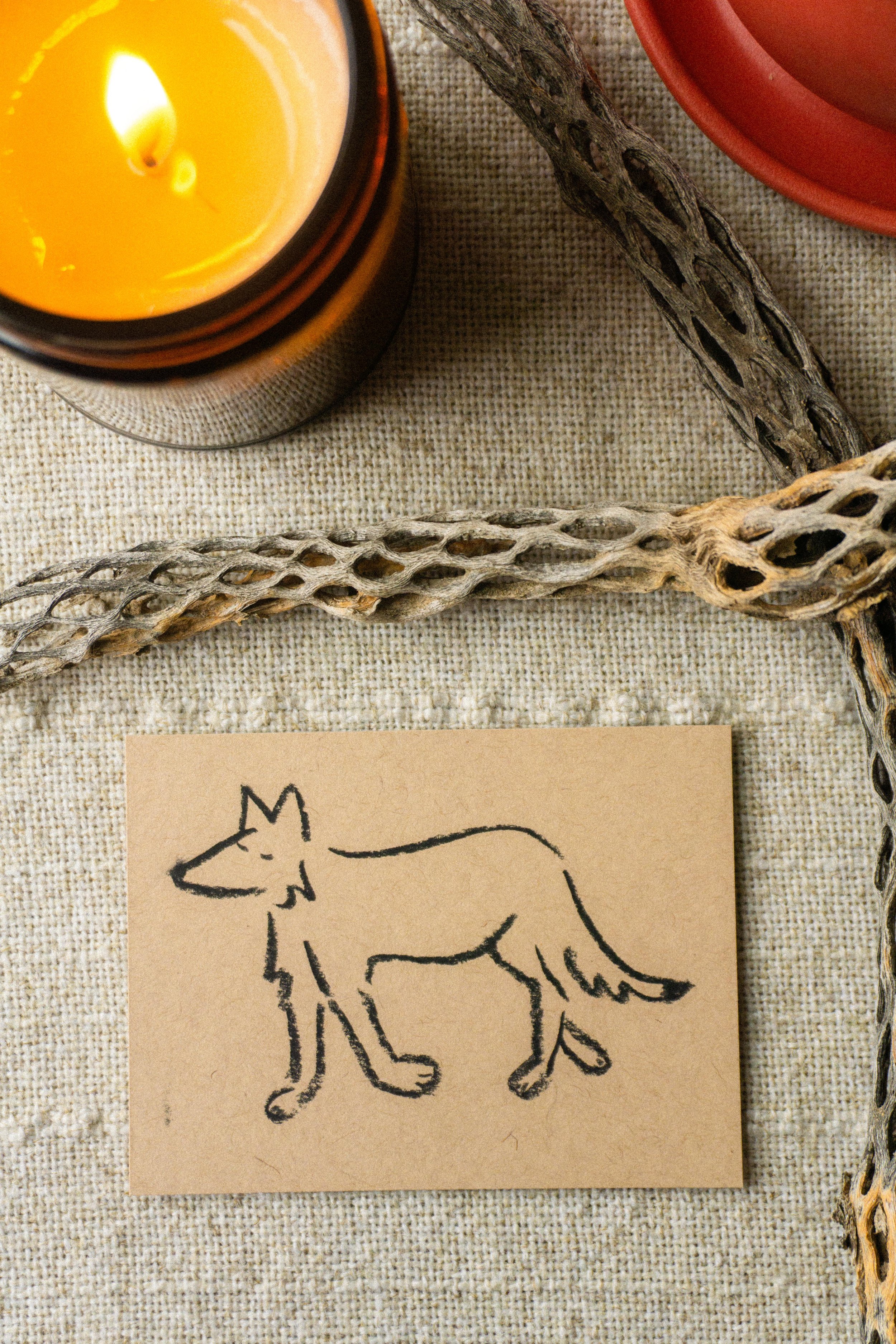 Resilient Coyote no. 2 | Original