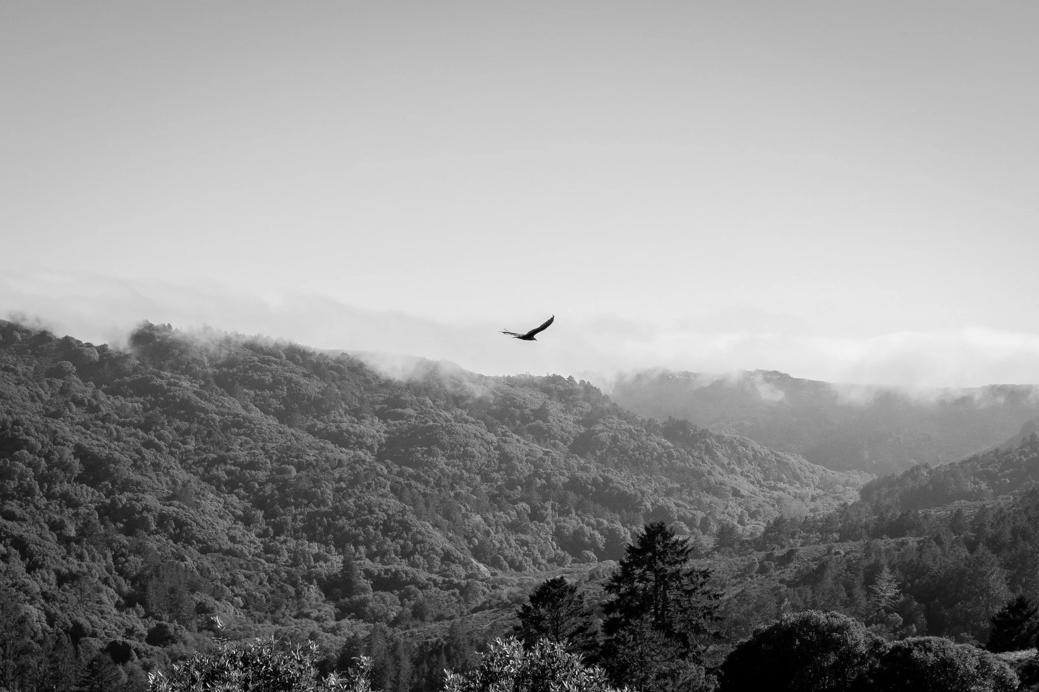 DSC_1332-2.jpg