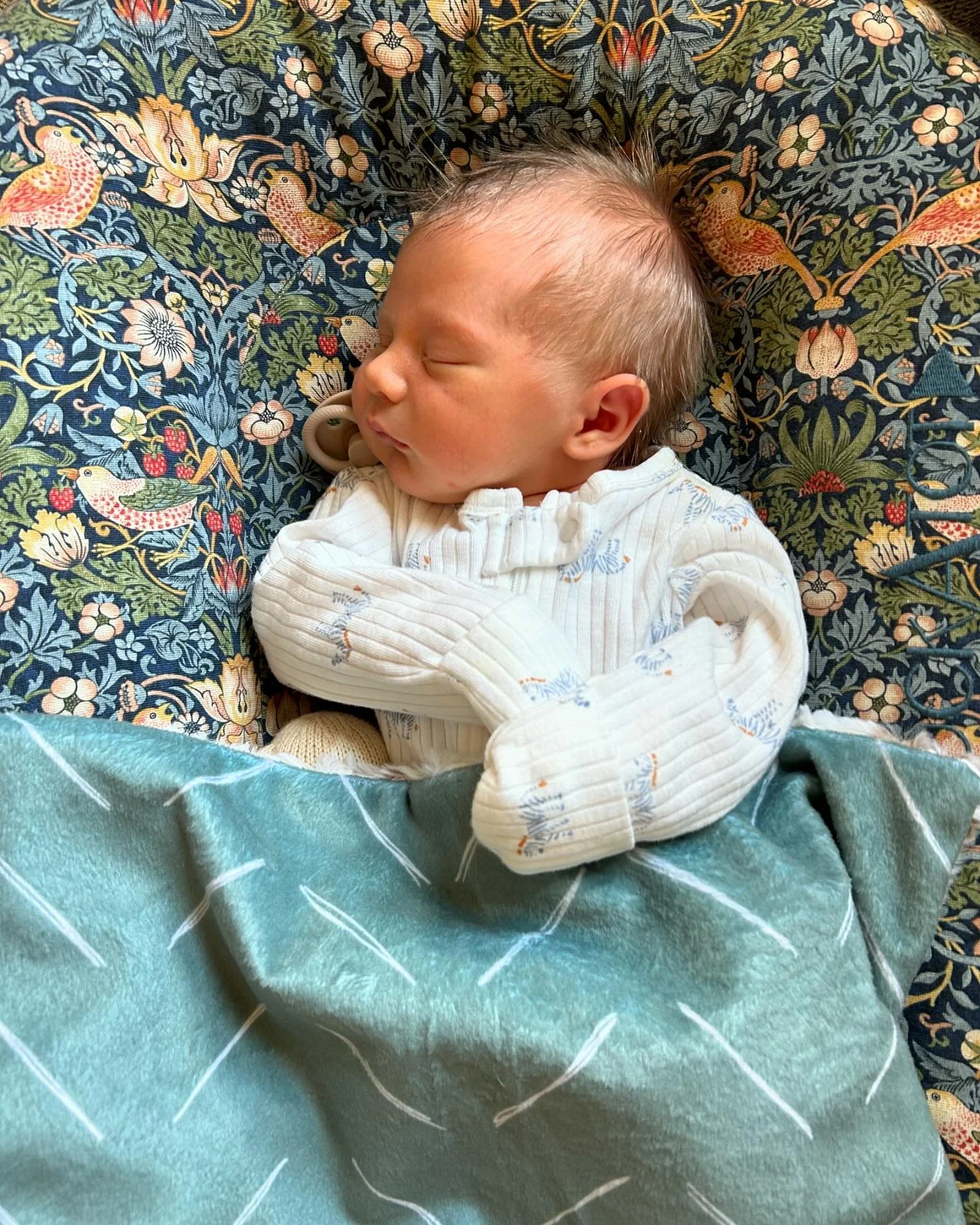 Meet Hugh! 

Hugh Edmond arrived a week ago after what felt like a month of early labor - a bit early just in time for turkey - and we are all just smitten with our first little son + baby brother.

💙