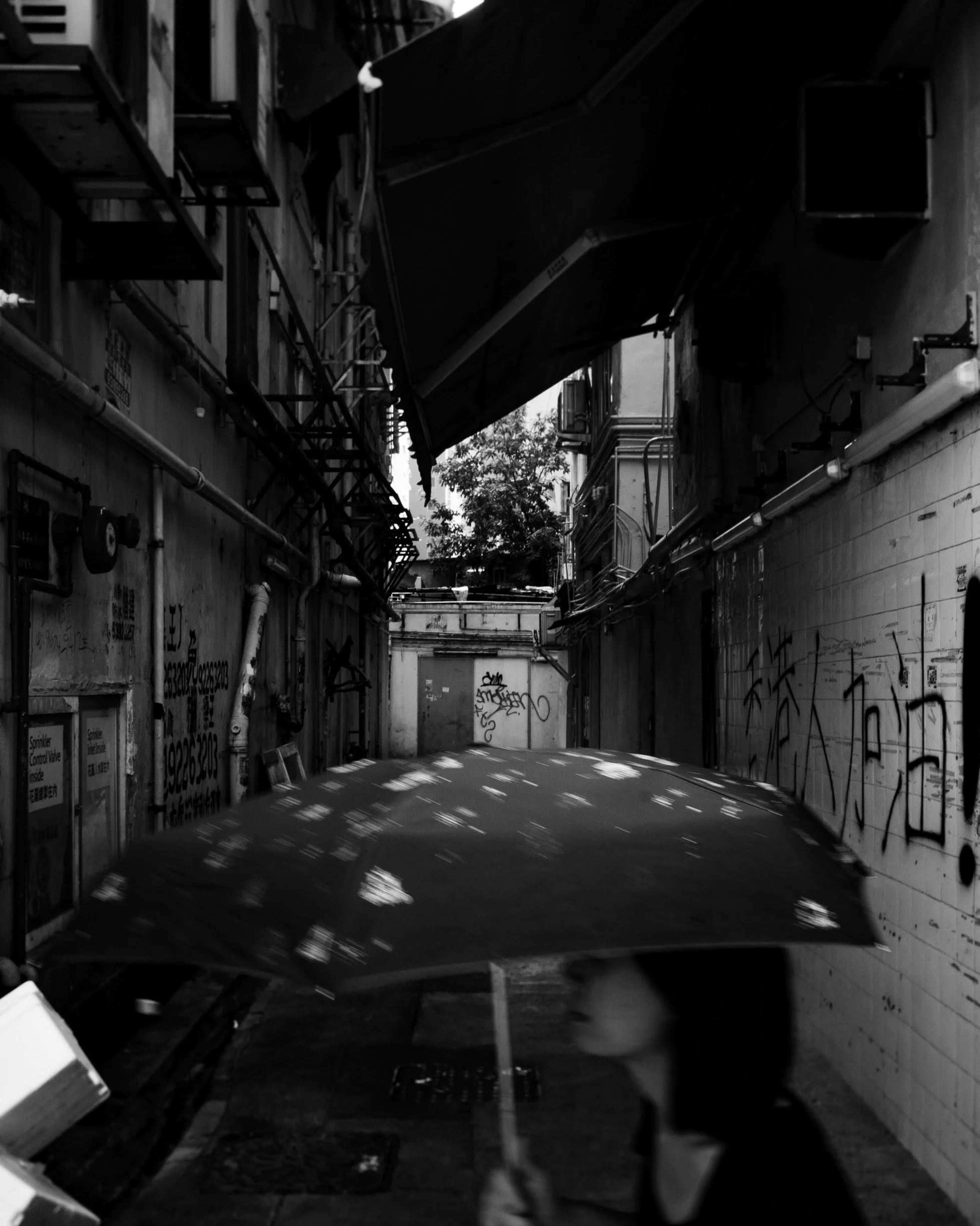 Hong+Kong-4219.jpg