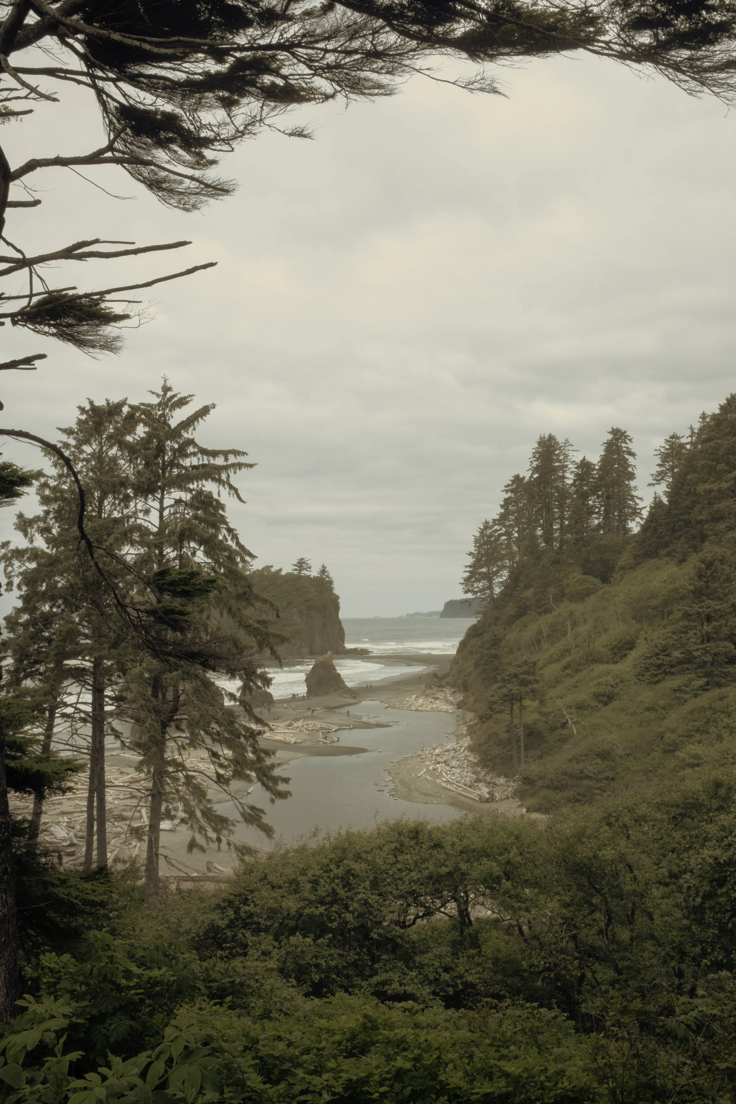 kalaloch-6673.jpg