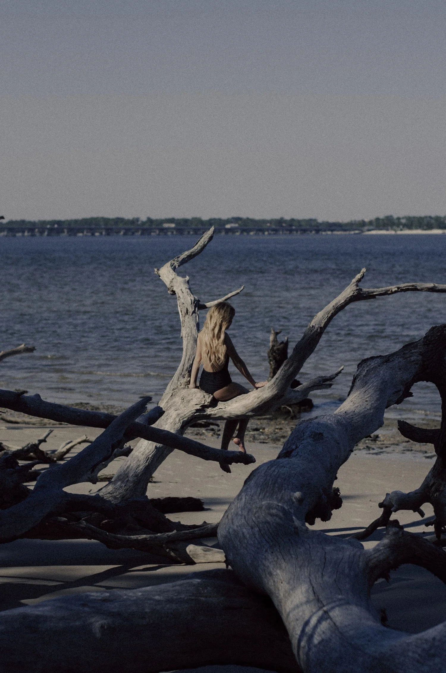 A woman with long blond hair sitting on a large piece of driftwood on a beach, with the ocean and a distant bridge in the background.