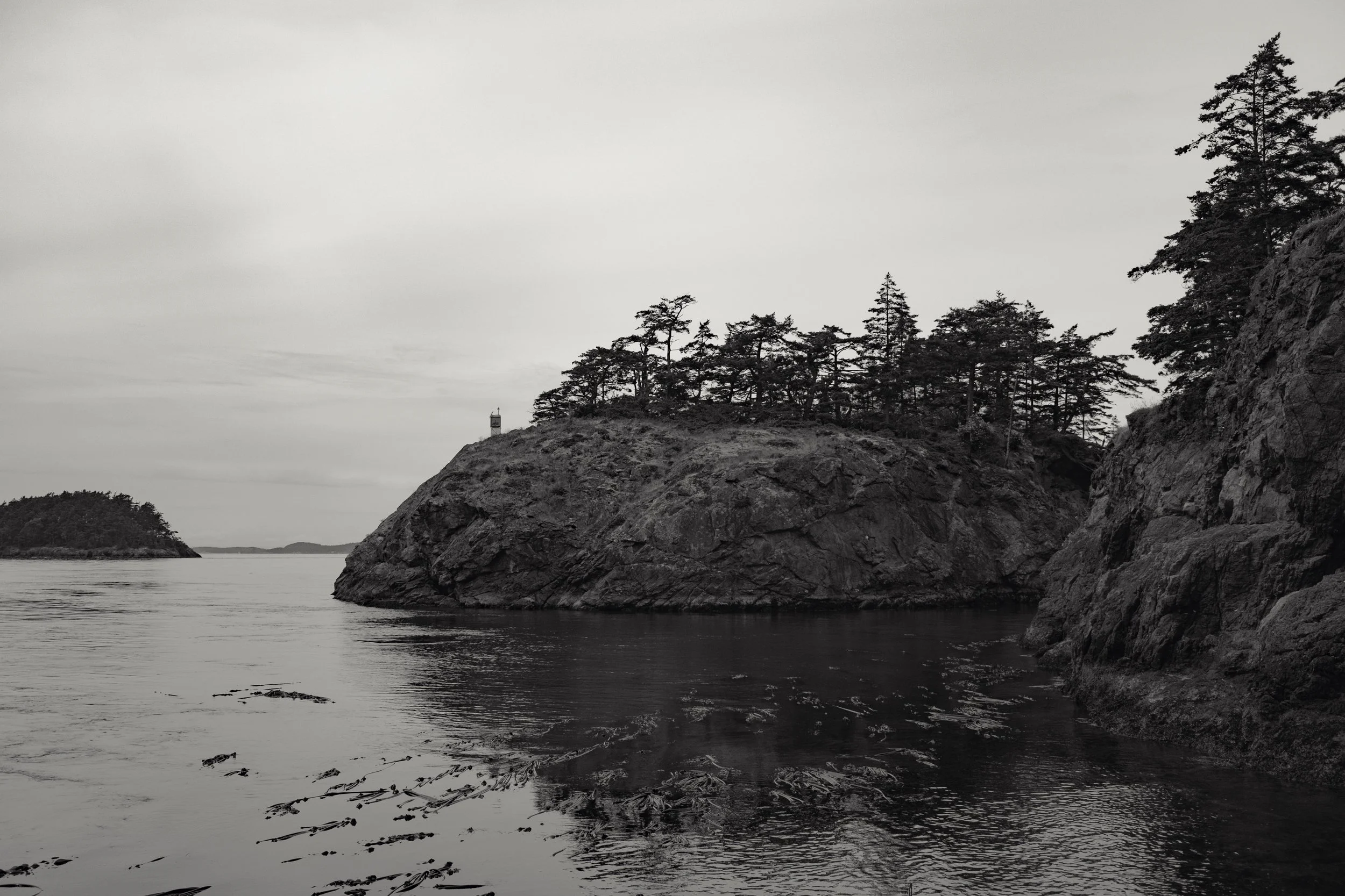 A black and white photo of a rocky island with trees on top, surrounded by water, with a lighthouse visible on the island.