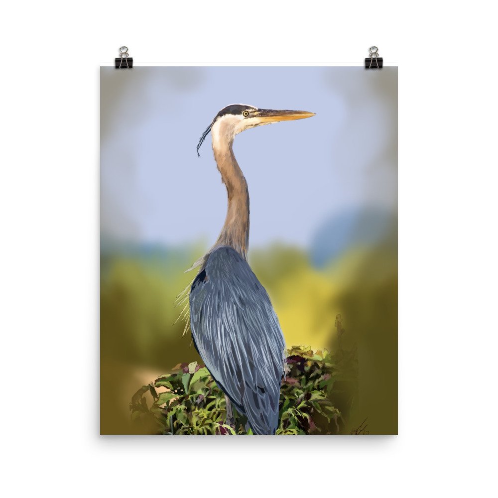 enhanced-matte-paper-poster-(in)-16x20-transparent-66c2963f7d597.jpg