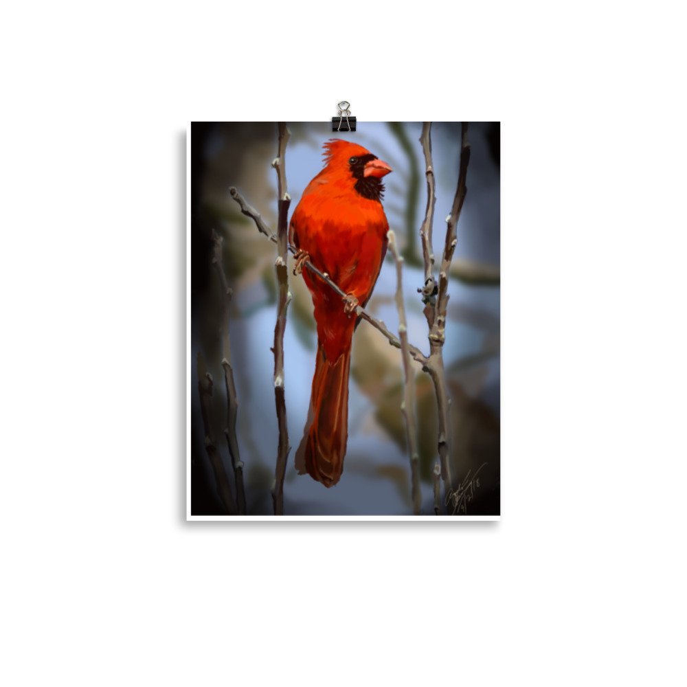 enhanced-matte-paper-poster-(in)-11x14-transparent-66c299fbd6beb.jpg