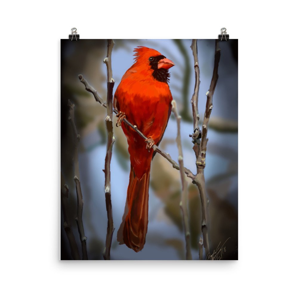 enhanced-matte-paper-poster-(in)-16x20-transparent-66c299fbd7f46.jpg