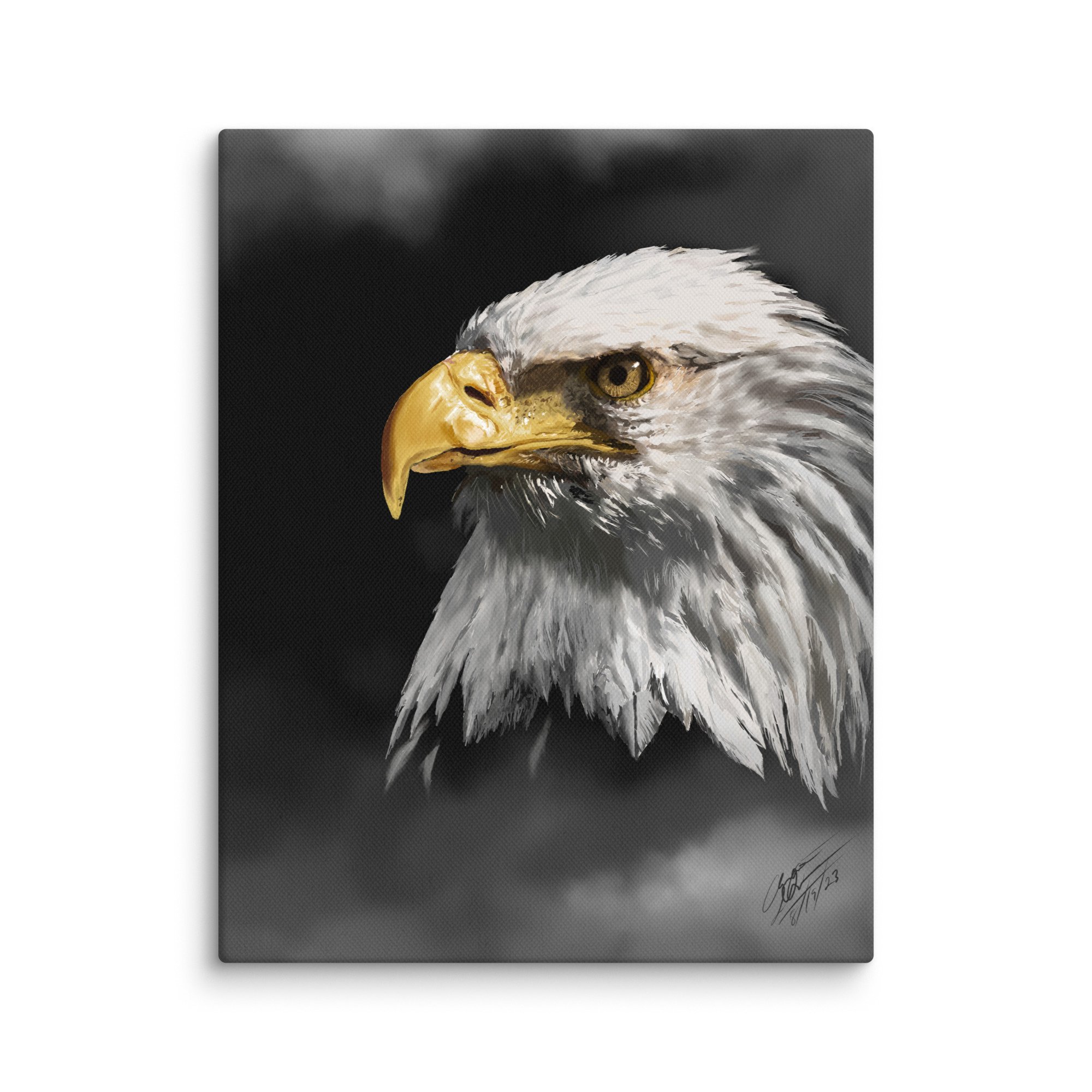 canvas-(in)-11x14-wall-66c3d70d4fd0c.jpg