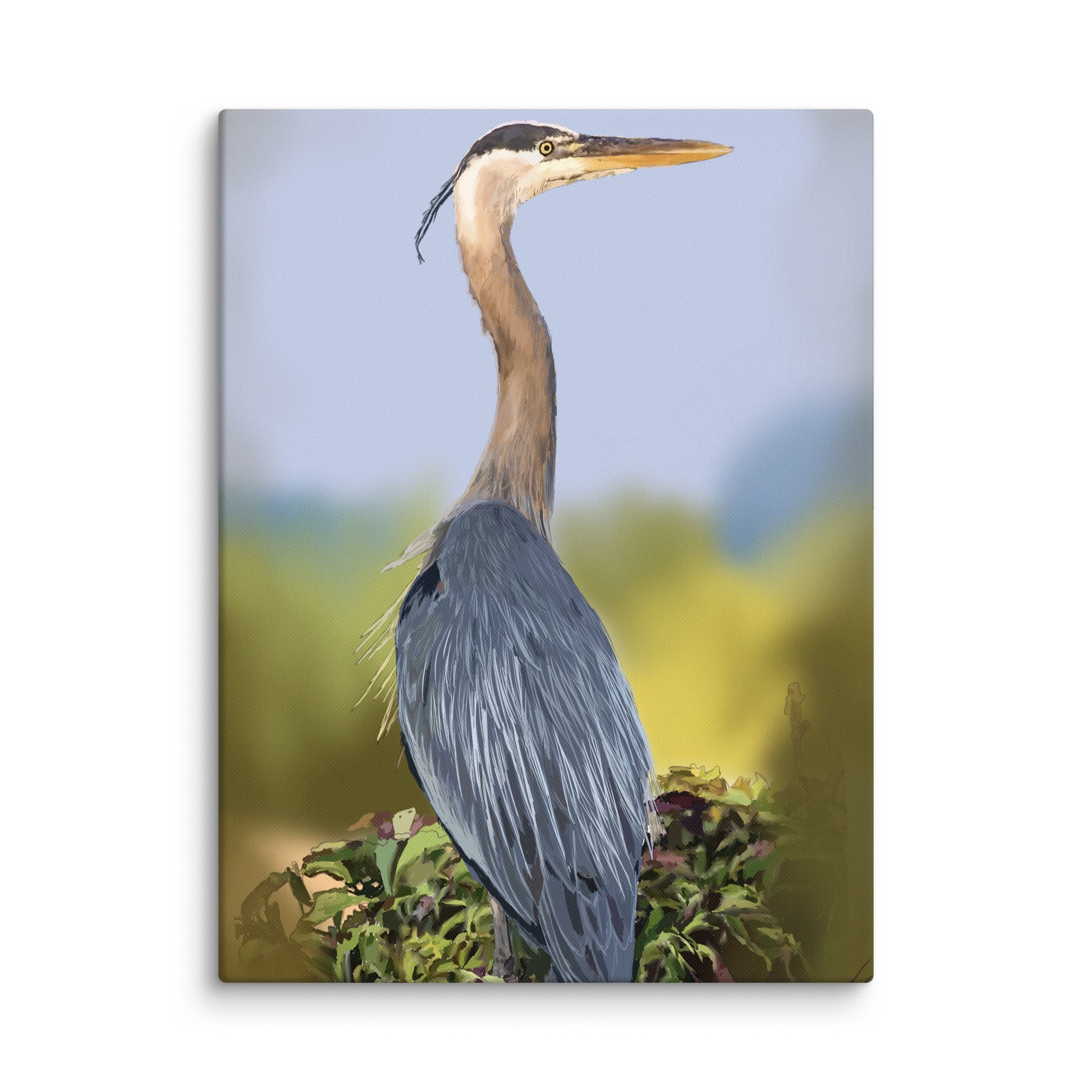 canvas-(in)-18x24-wall-66c3de5e7291f.jpg