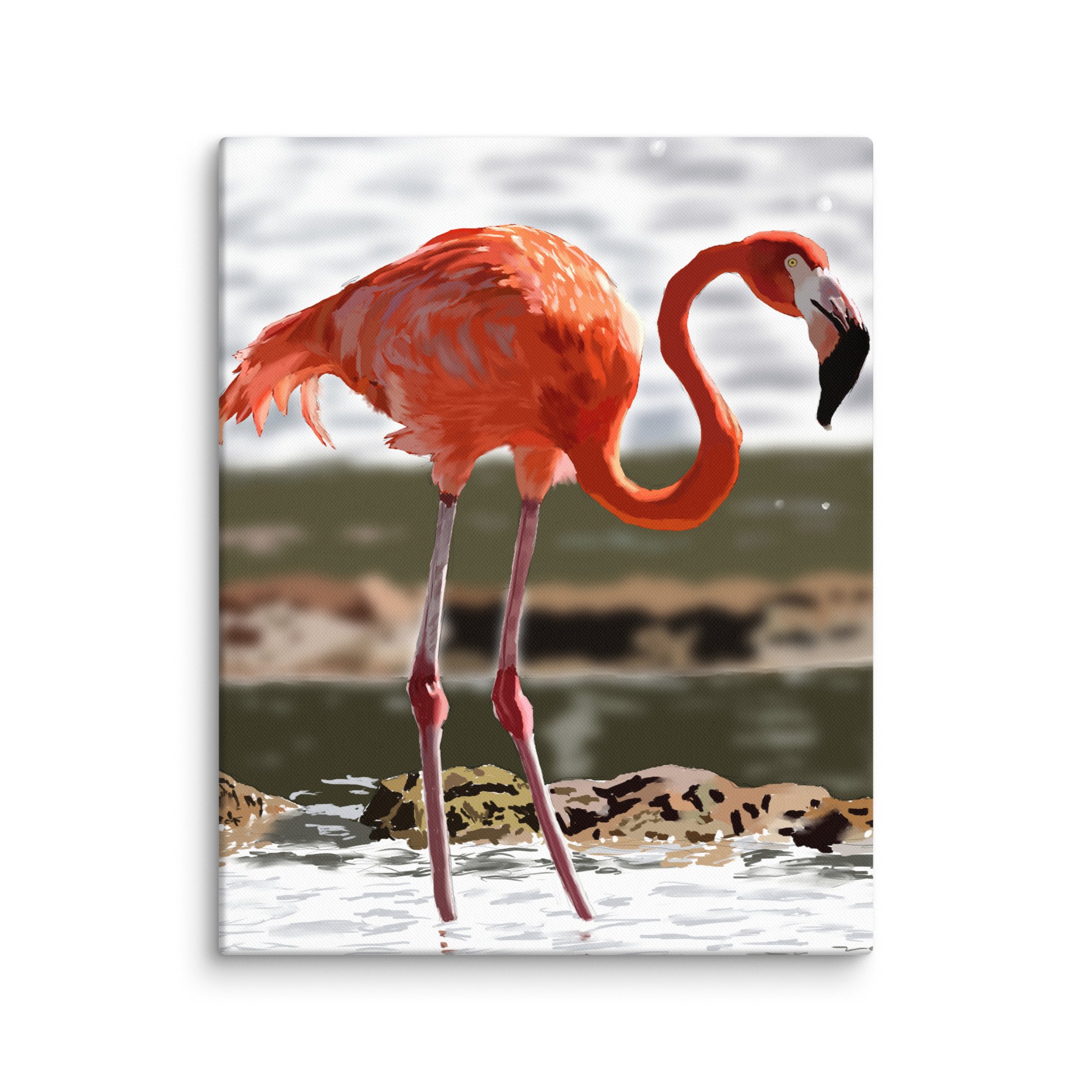 canvas-(in)-16x20-wall-66c3f2d6a876c.jpg