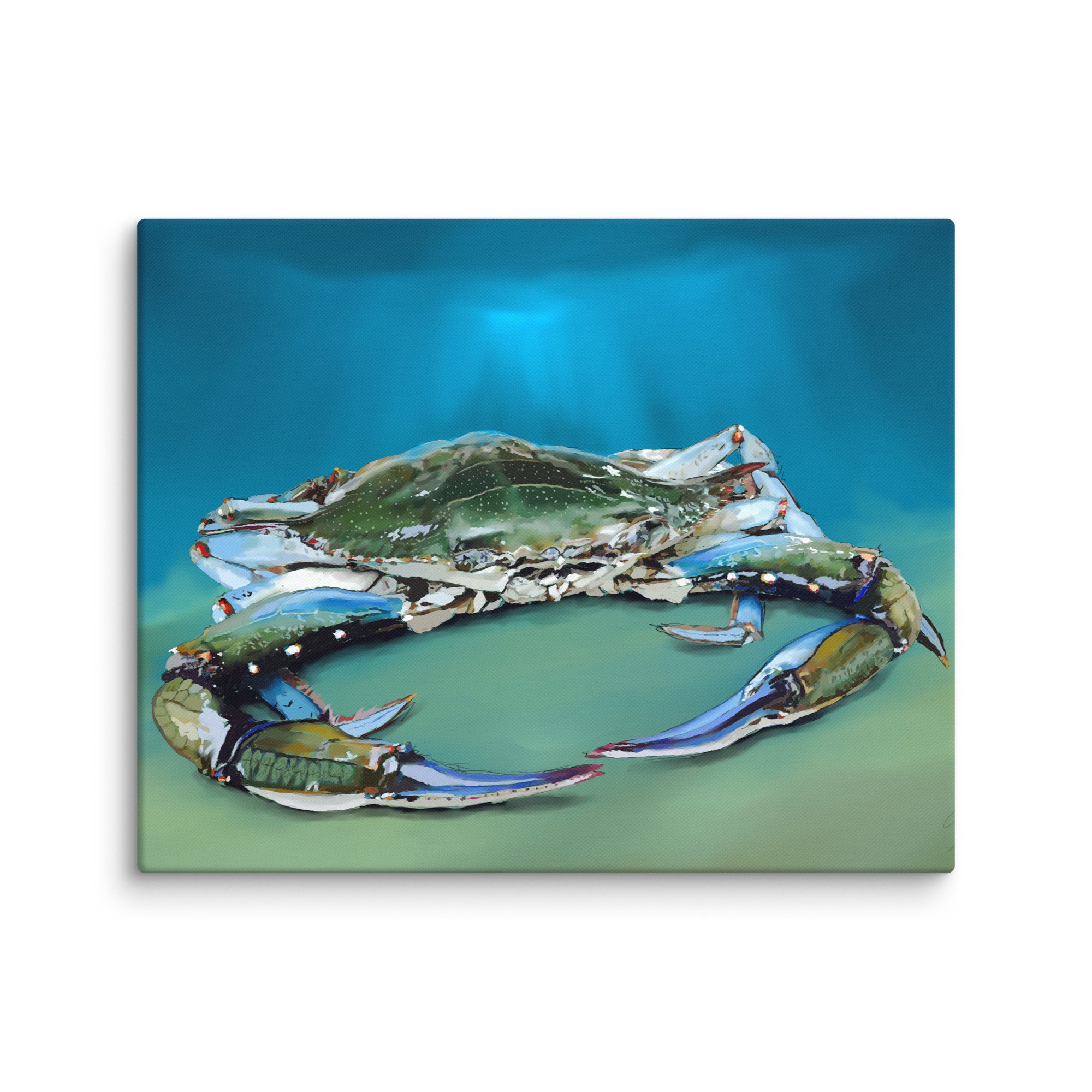 canvas-(in)-16x20-wall-66c3f304bbd0f.jpg